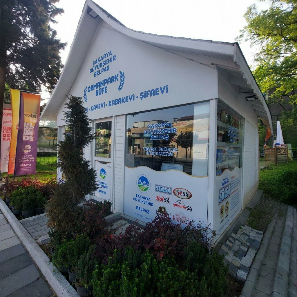 Construction and maintenance of engineering networks Belpas, Adapazari, photo