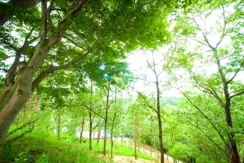 Фото Shukubo Kawaseminosho