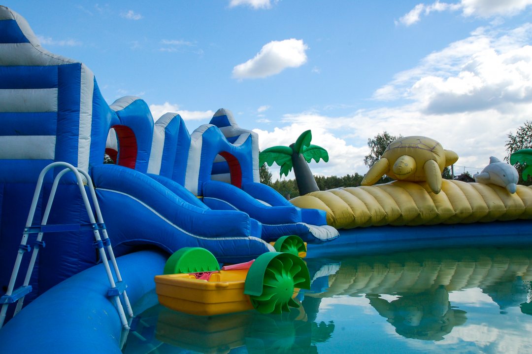 Фото Берёзка