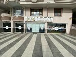 Şampiyon Leopar spor kulübü (Ankara Province, Kecioren District, Şehit Mustafa Erciğez Cad., 53A) ، مدرسة رياضية