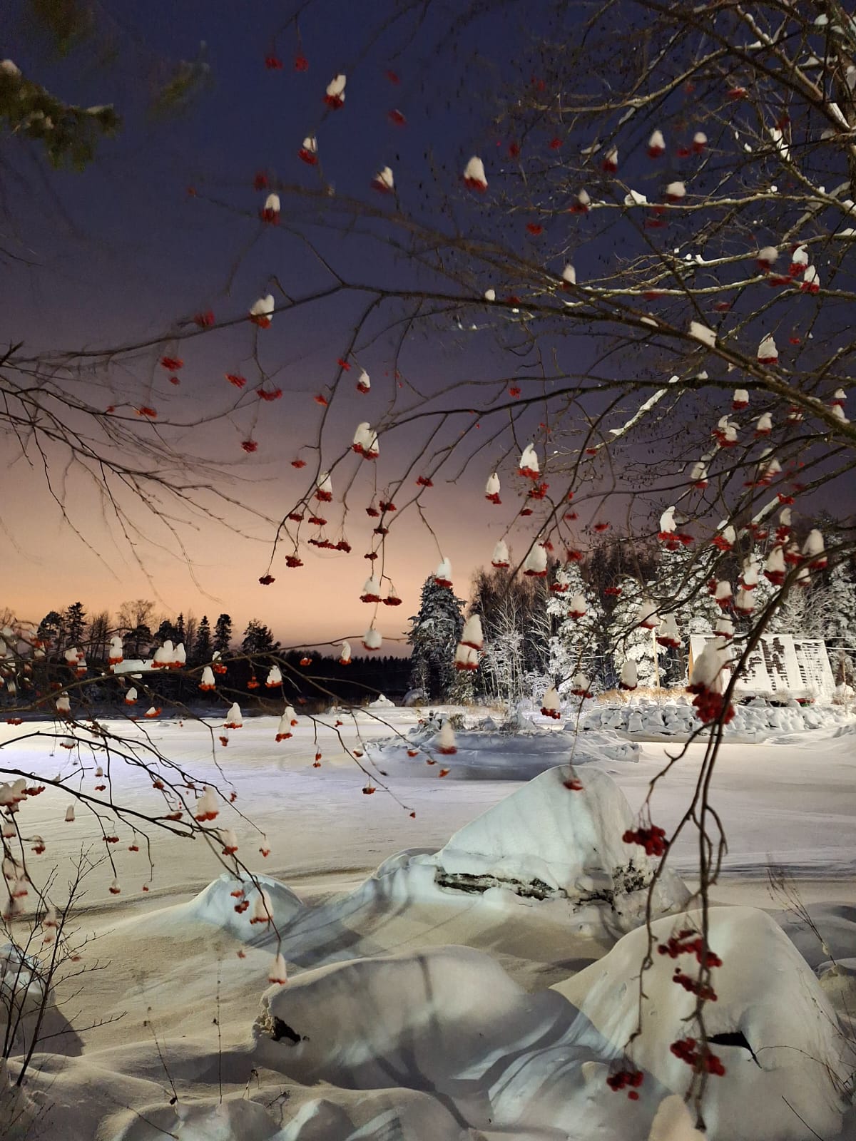 Фото Поместье Лесная бухта