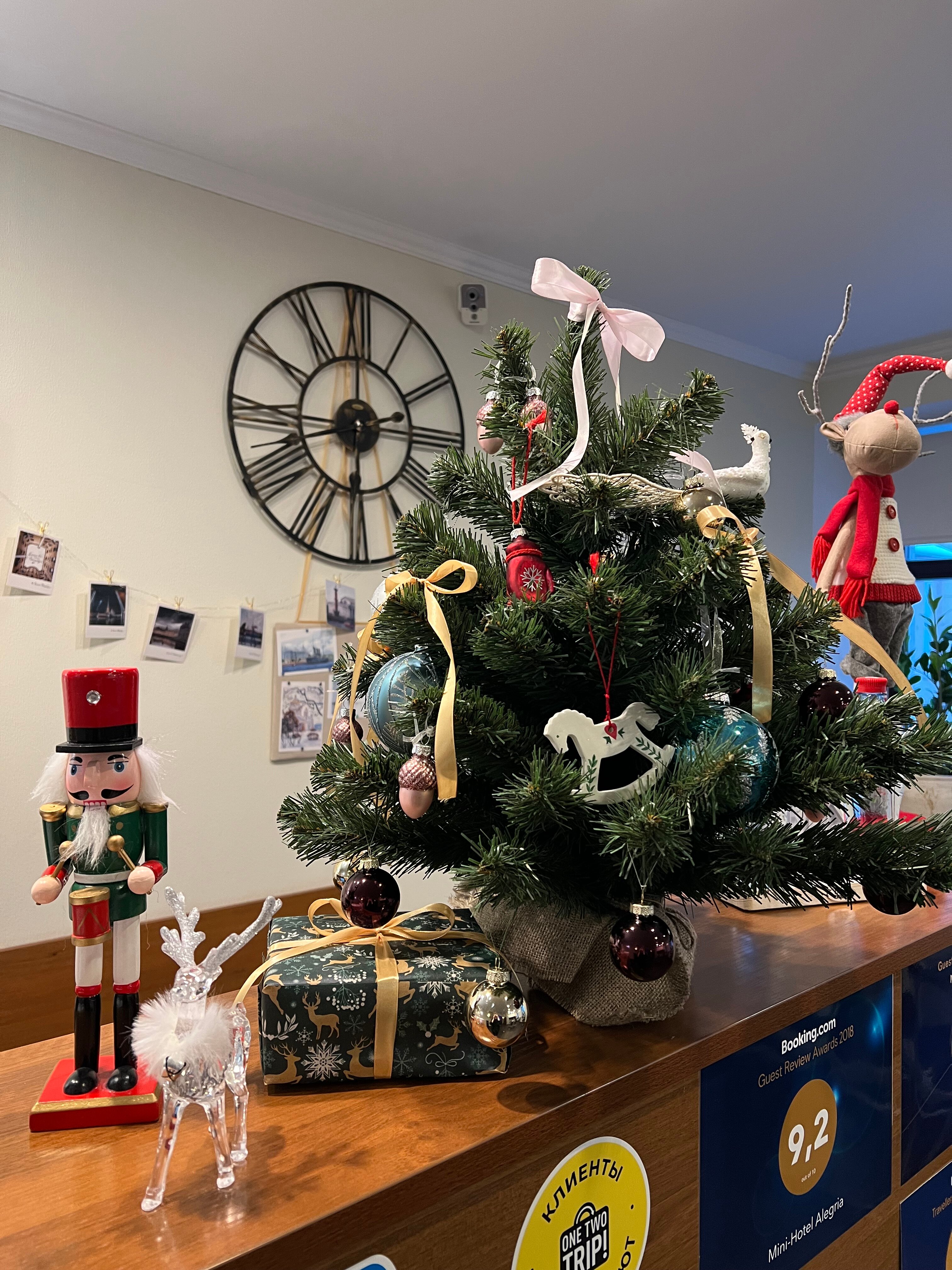 Фото Алегрия