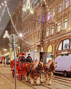 Гостиница Senate Hotel