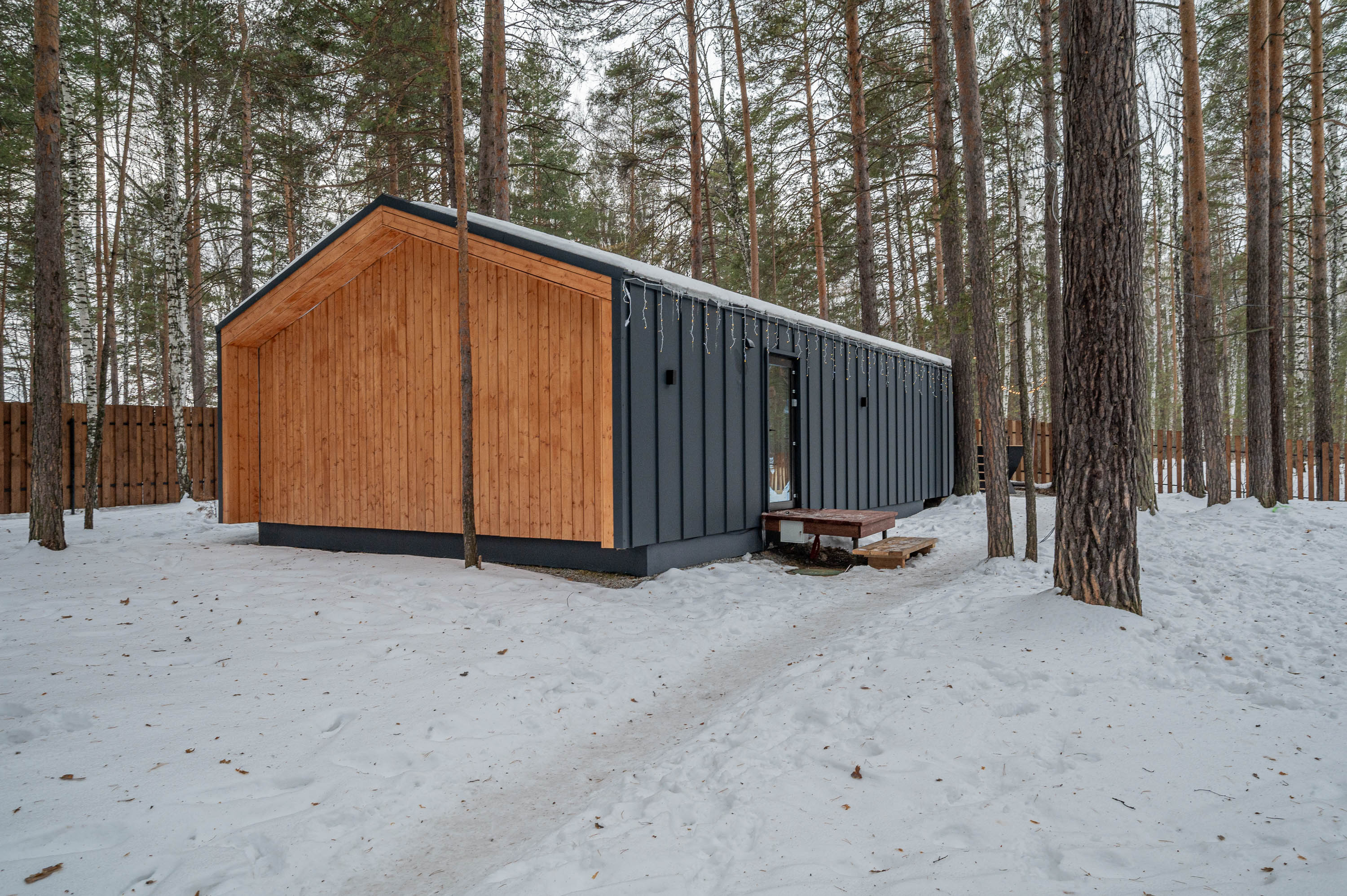 Фото Елки&голки