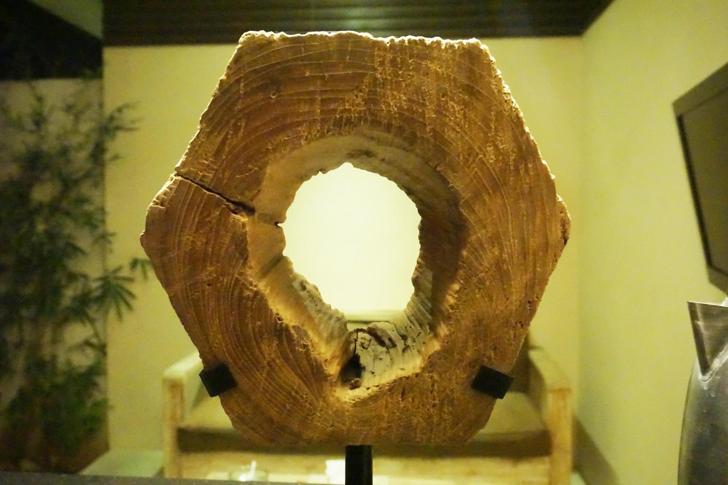 Фото La Belle Villa