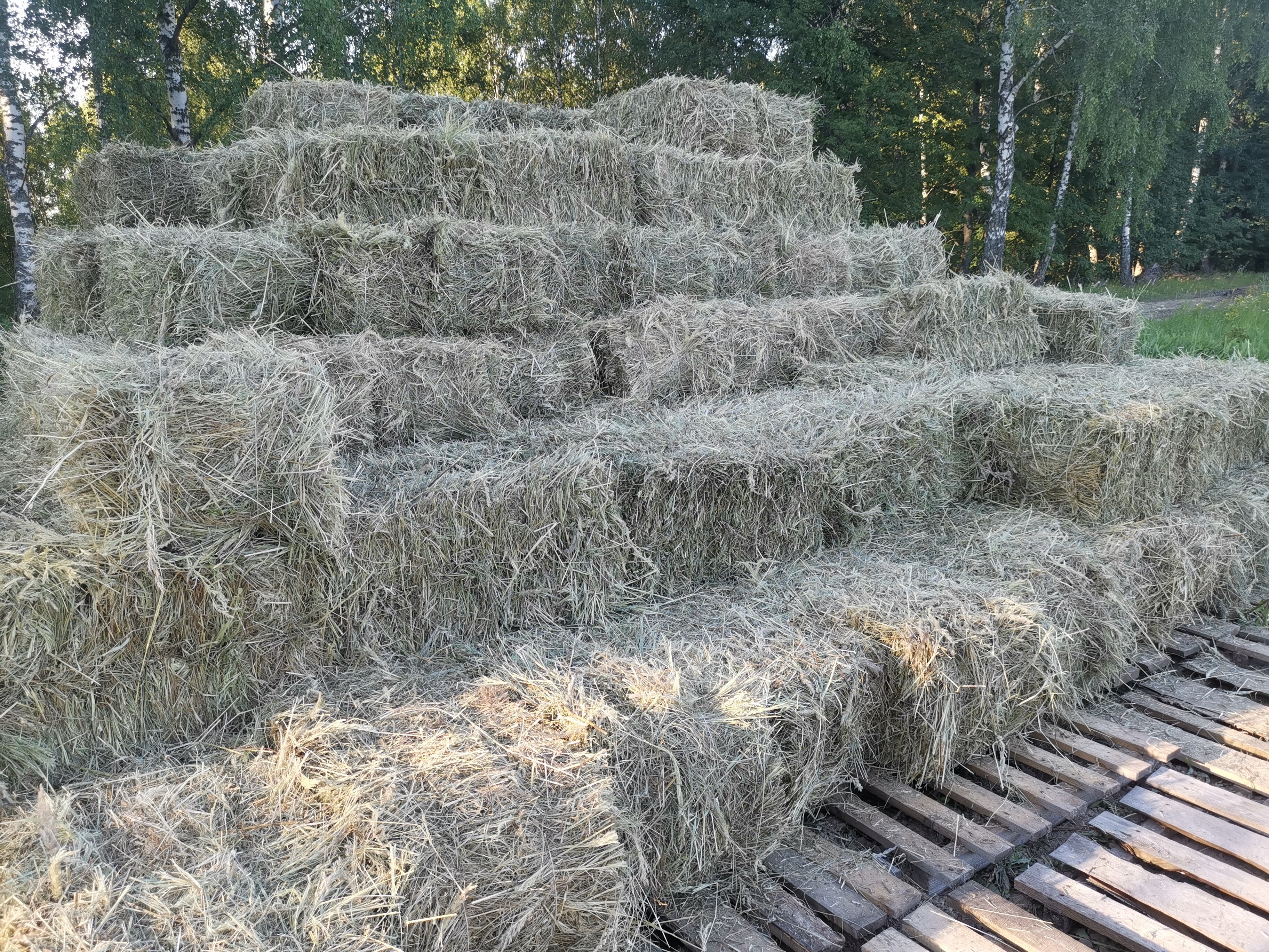 Фото Усадьба Косолапово