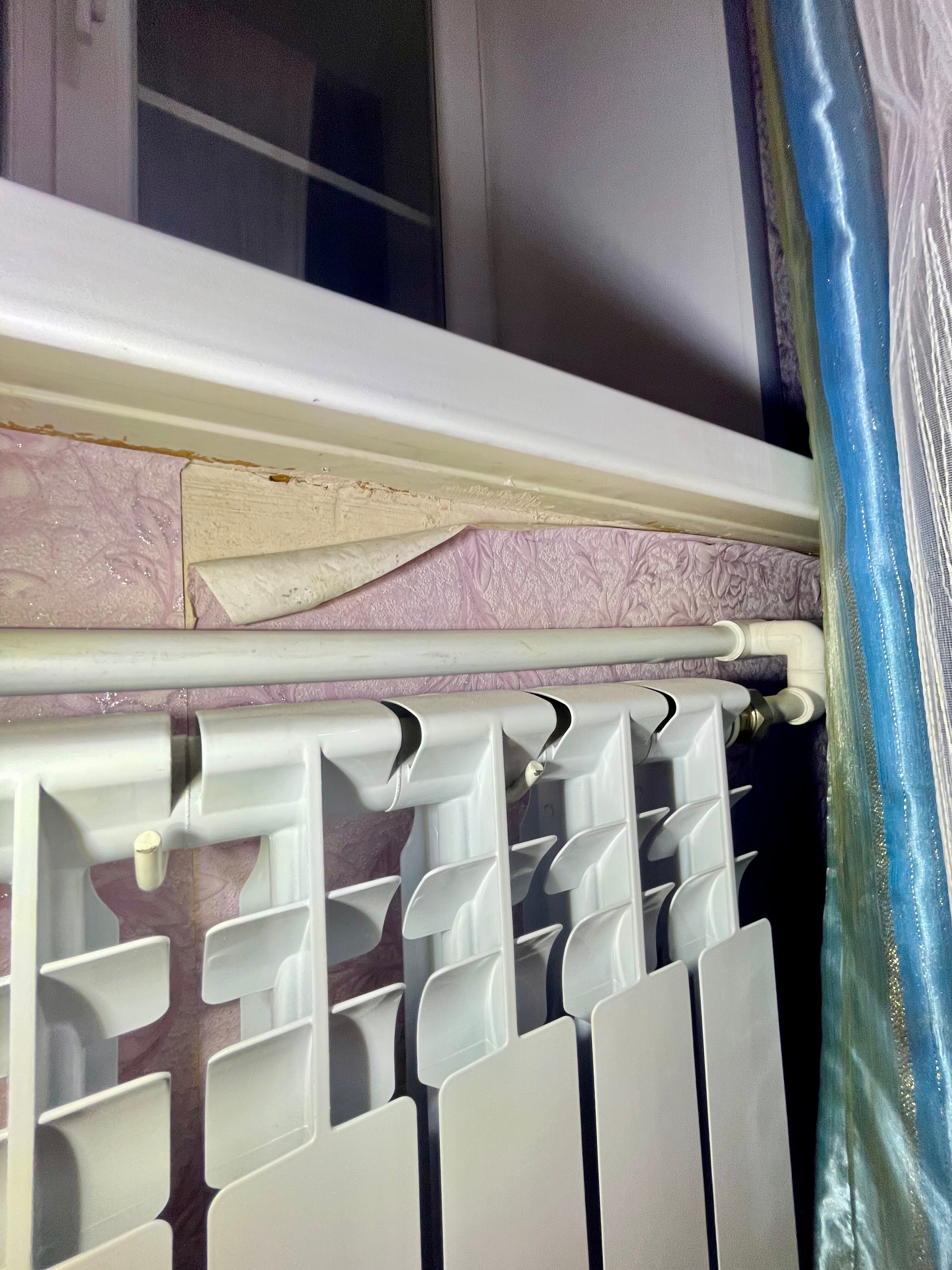 Фото Козырь