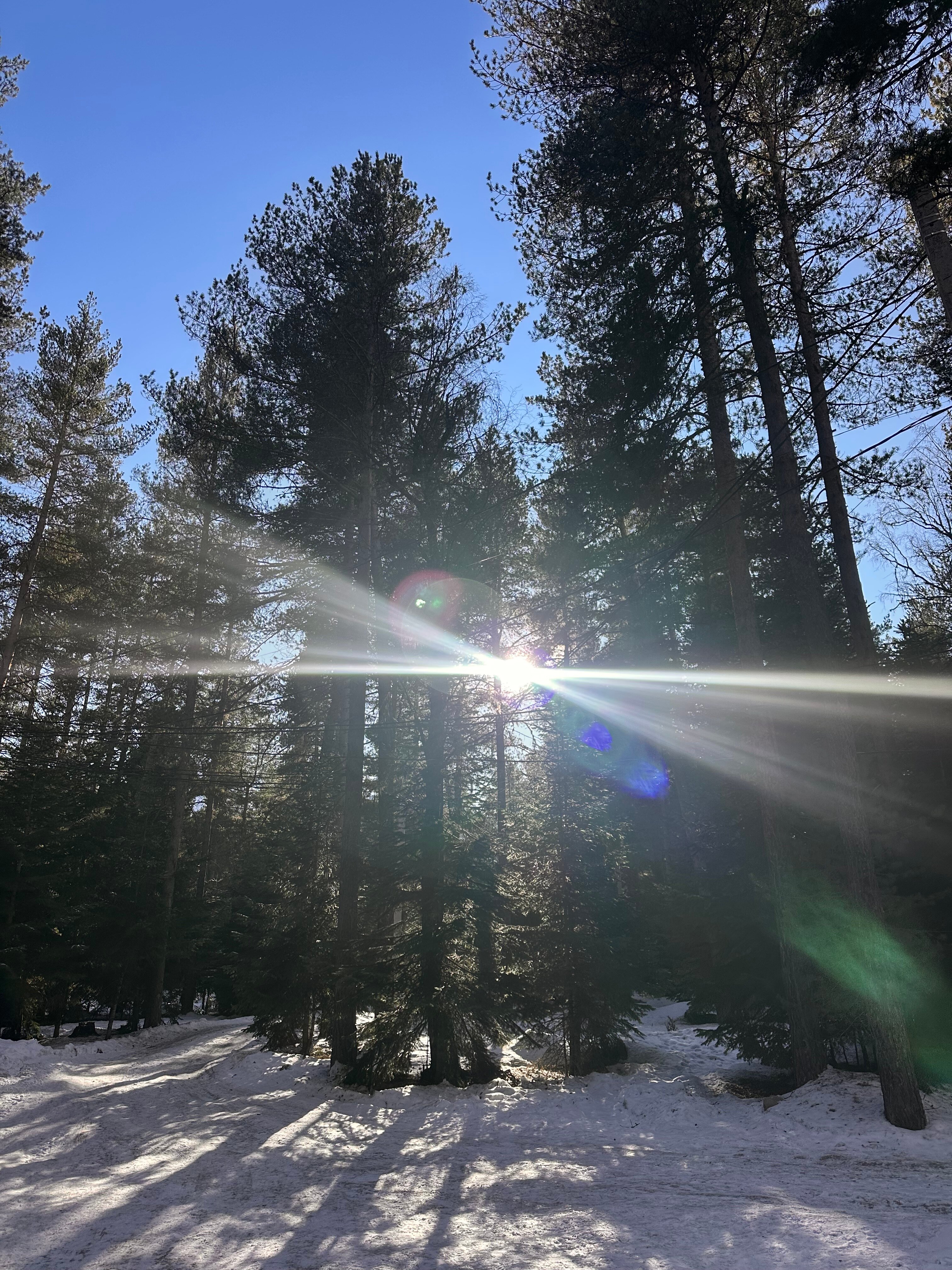 Фото Тихое Место