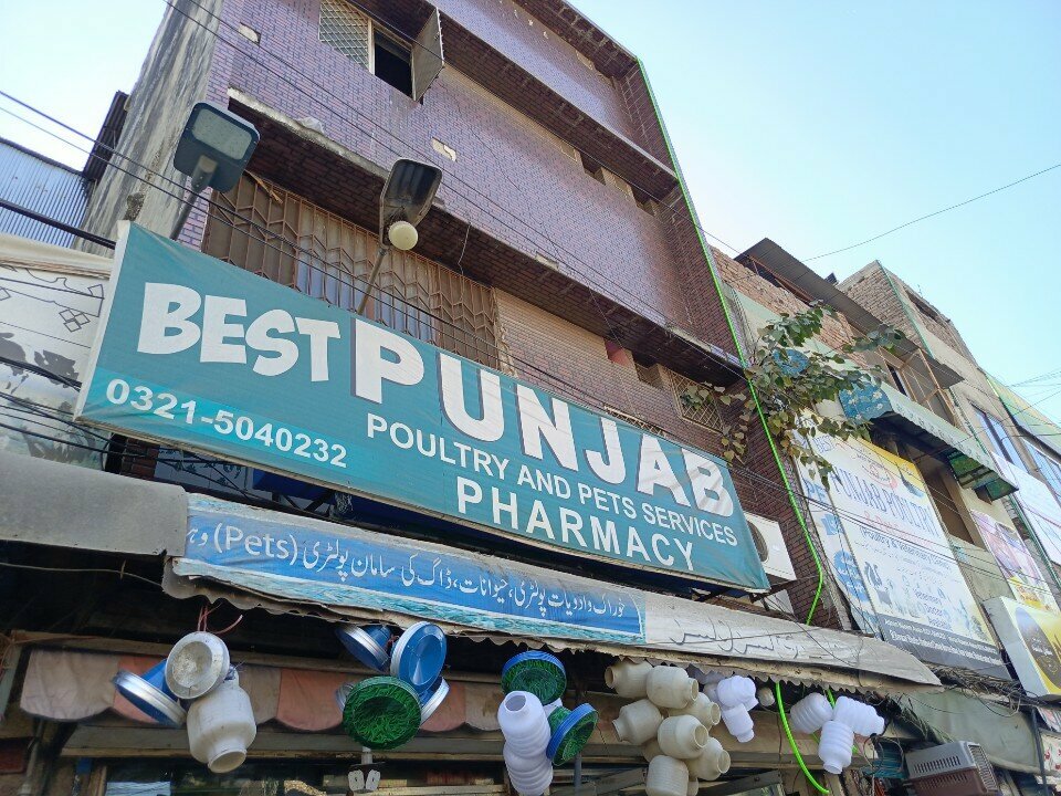 Agricultural enterprise Punjab Poultry Services, Rawalpindi, photo