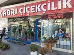 Cagri Cicekcilik (Ankara Province, Yenimahalle, Vatan Avenue, 29), floristeria