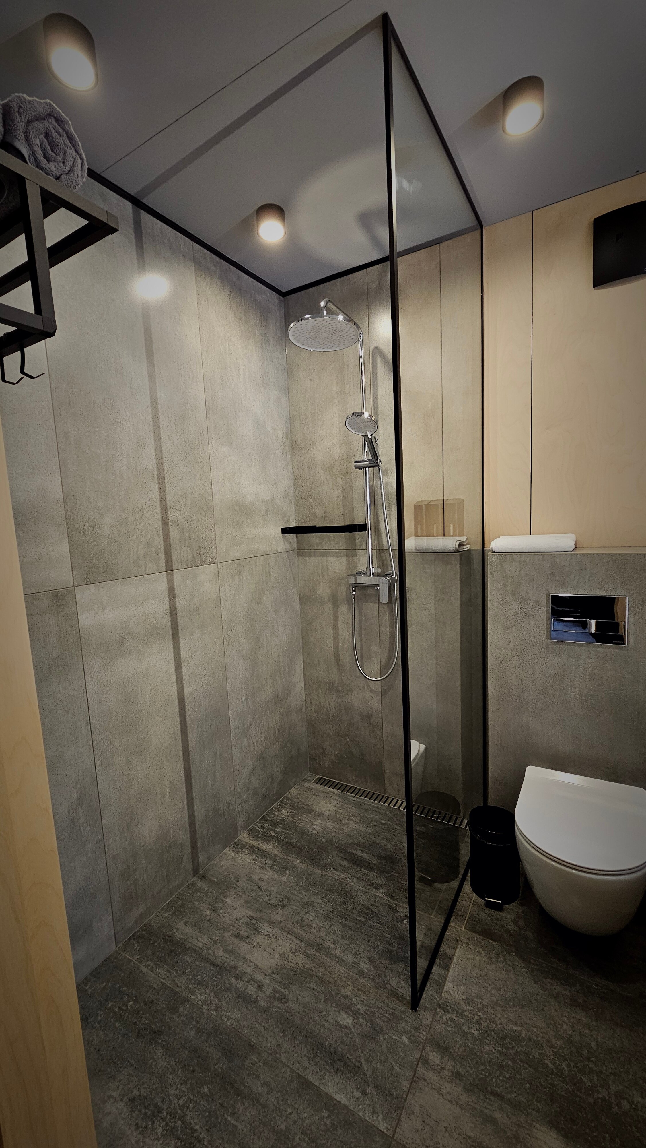 Фото Снежные Гуси