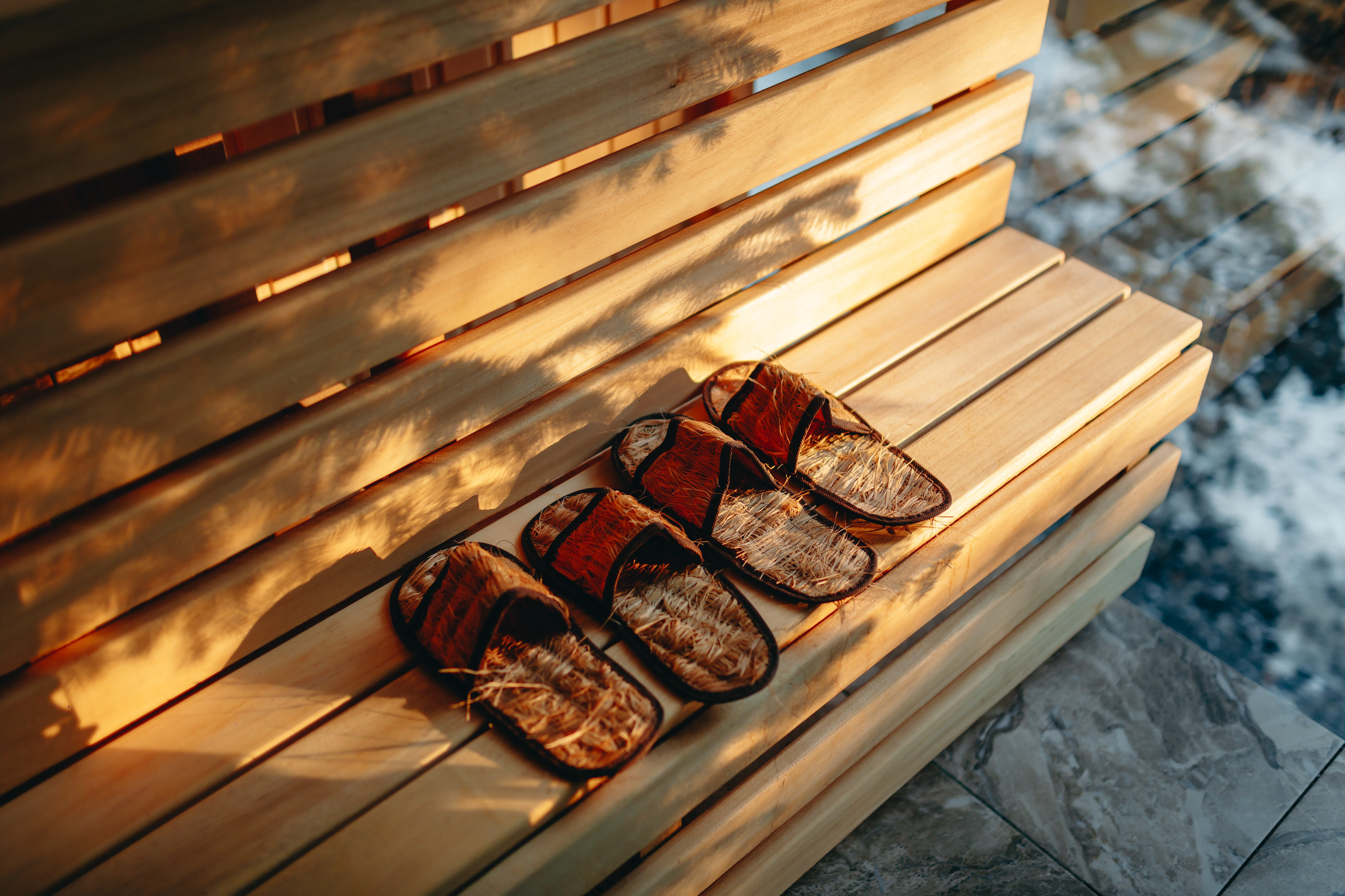 Фото Magic Forest