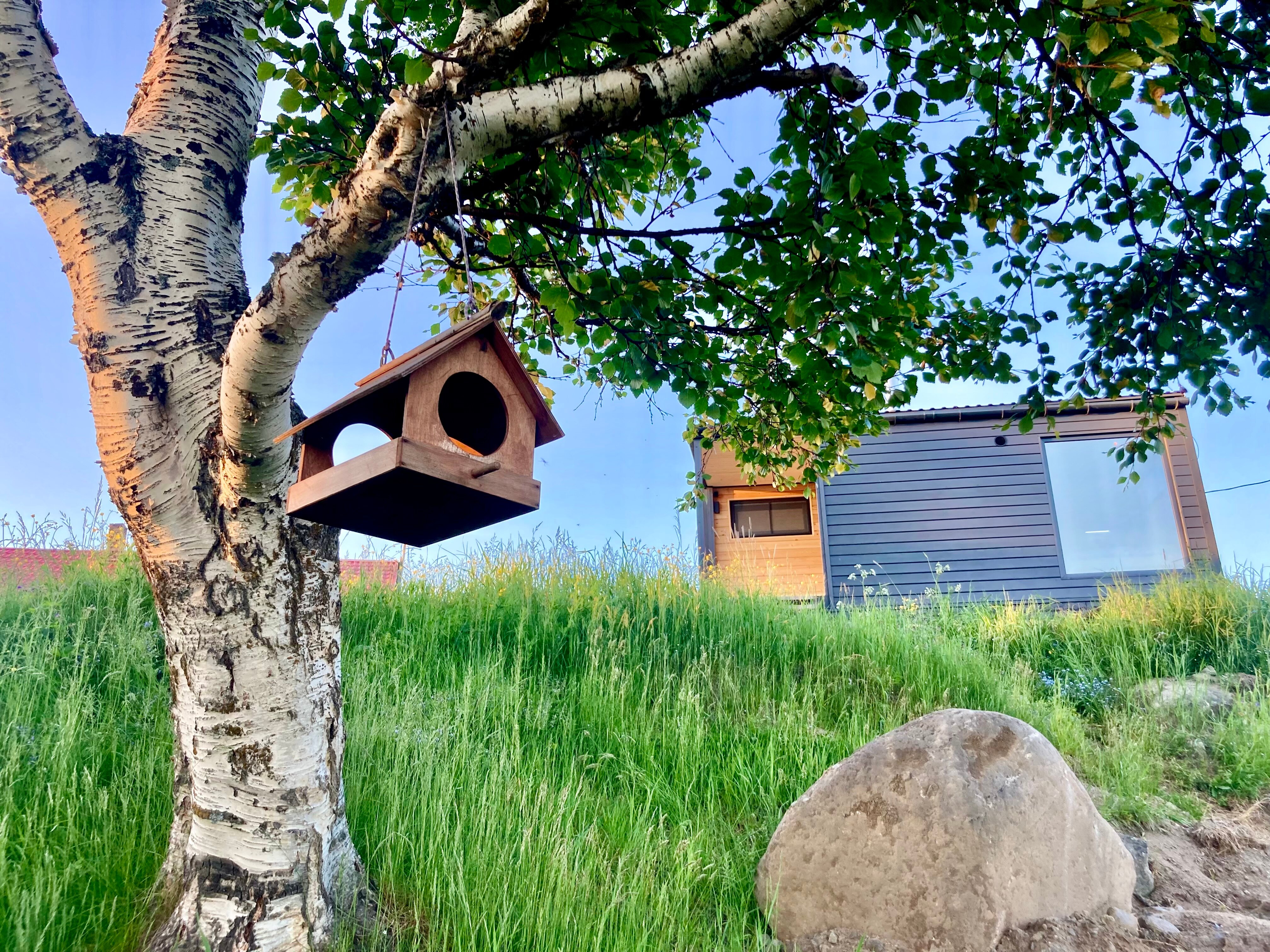 Фото Соловки