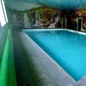 Фото Сакура