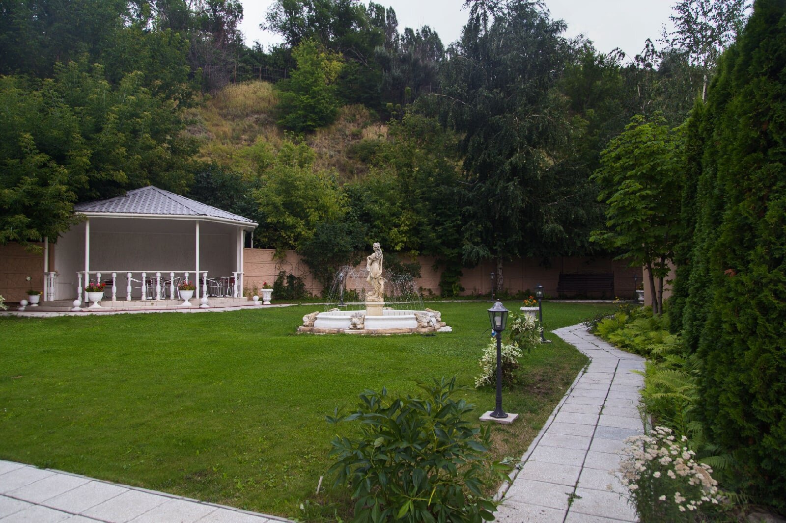 Фото Журавли