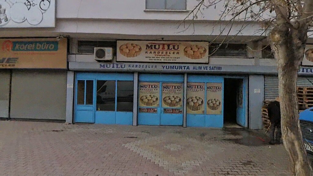 Egg and poultry meat Happy Brothers Eggs, Konya, photo