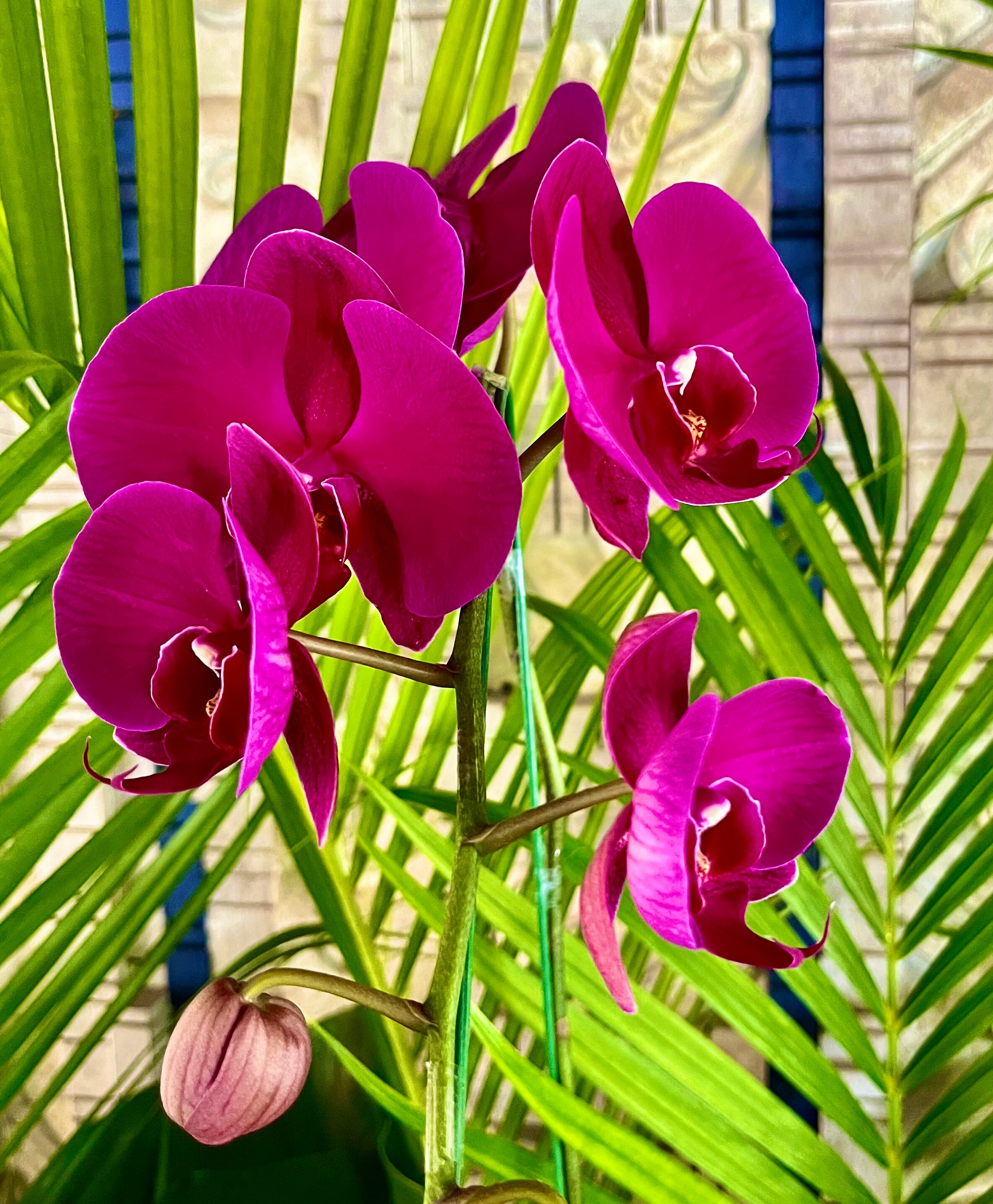 Фото Grand Hyatt Bali