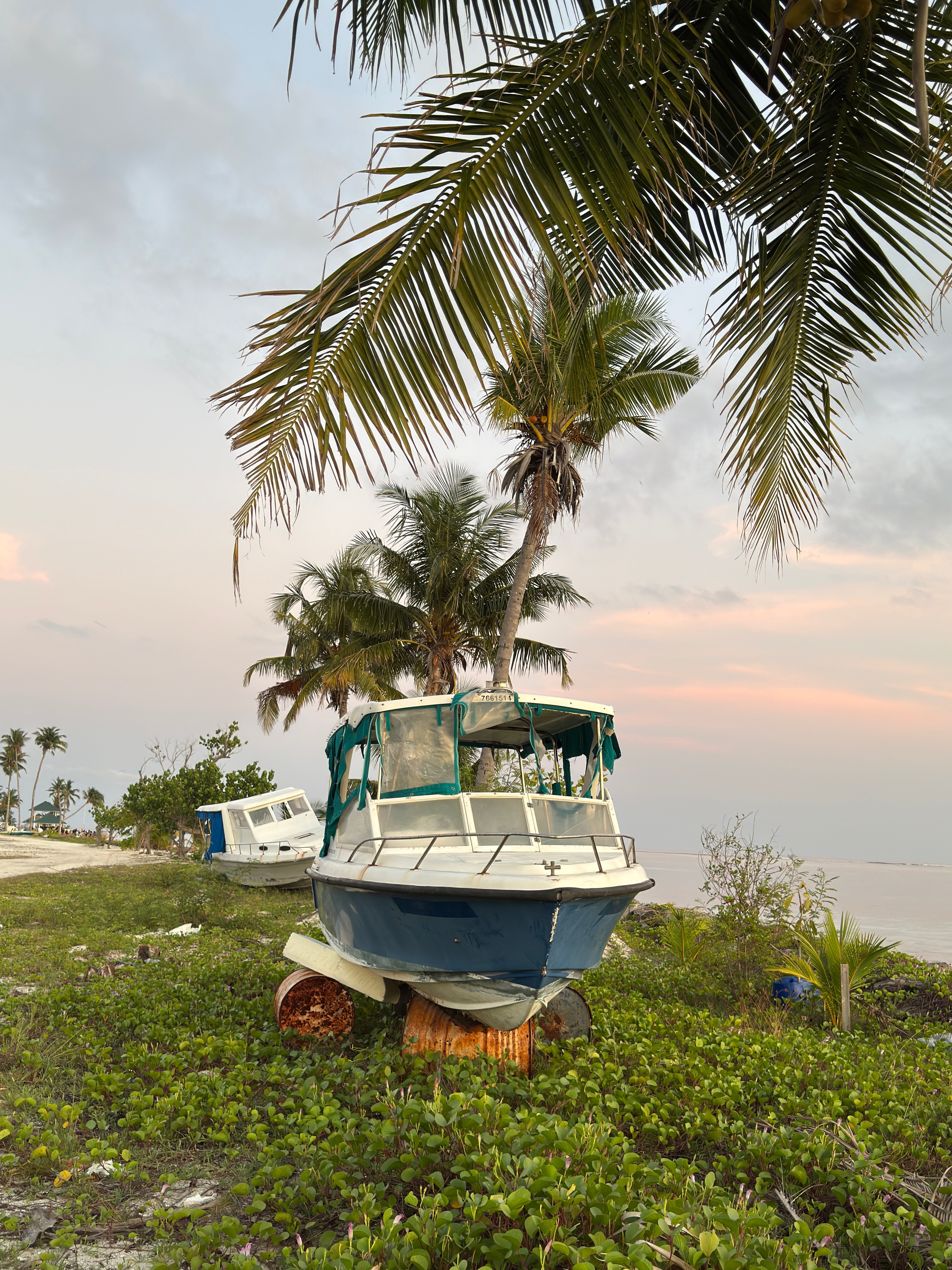 Фото Aloha Beach Inn