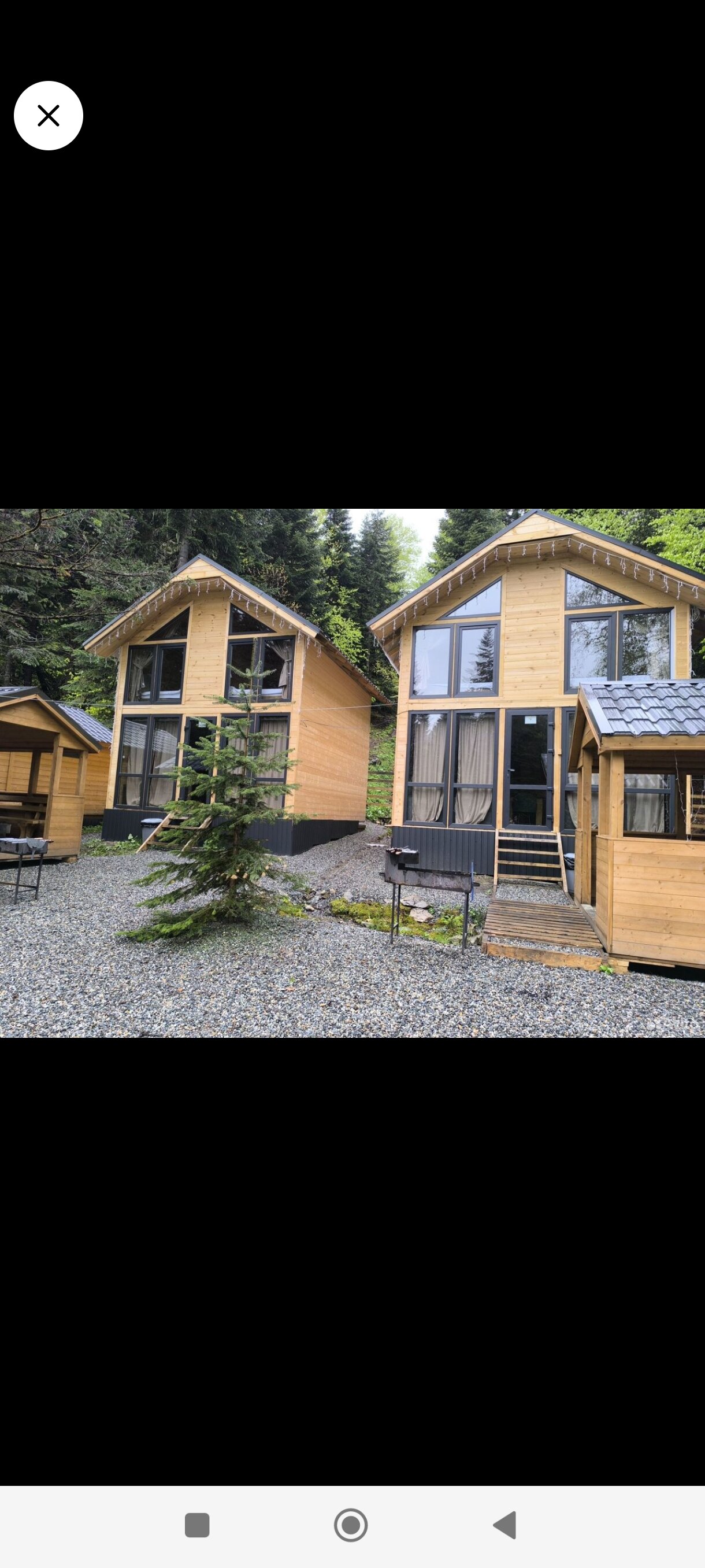 Фото Greenhouse 1599