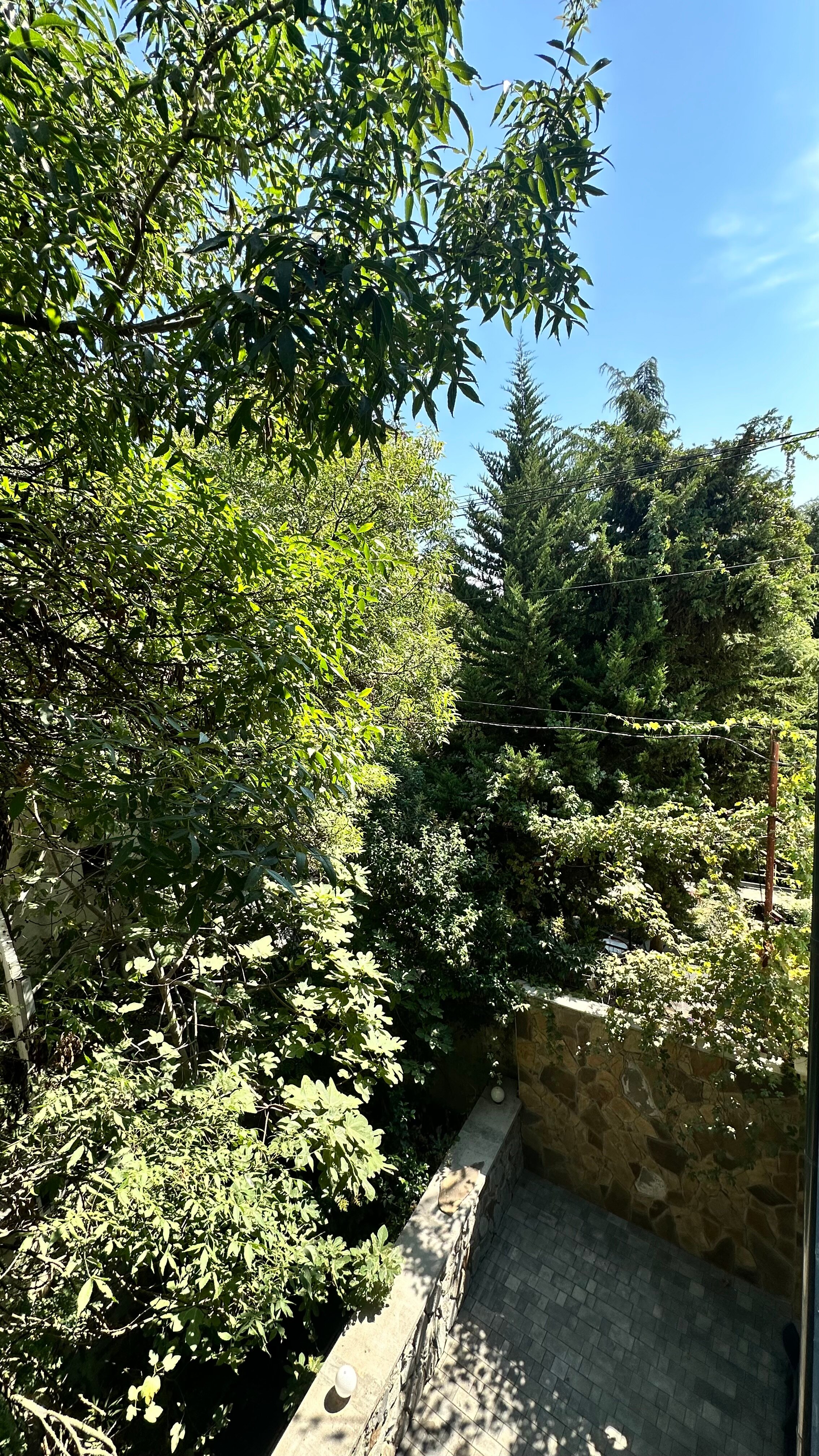 Фото Дыхание моря