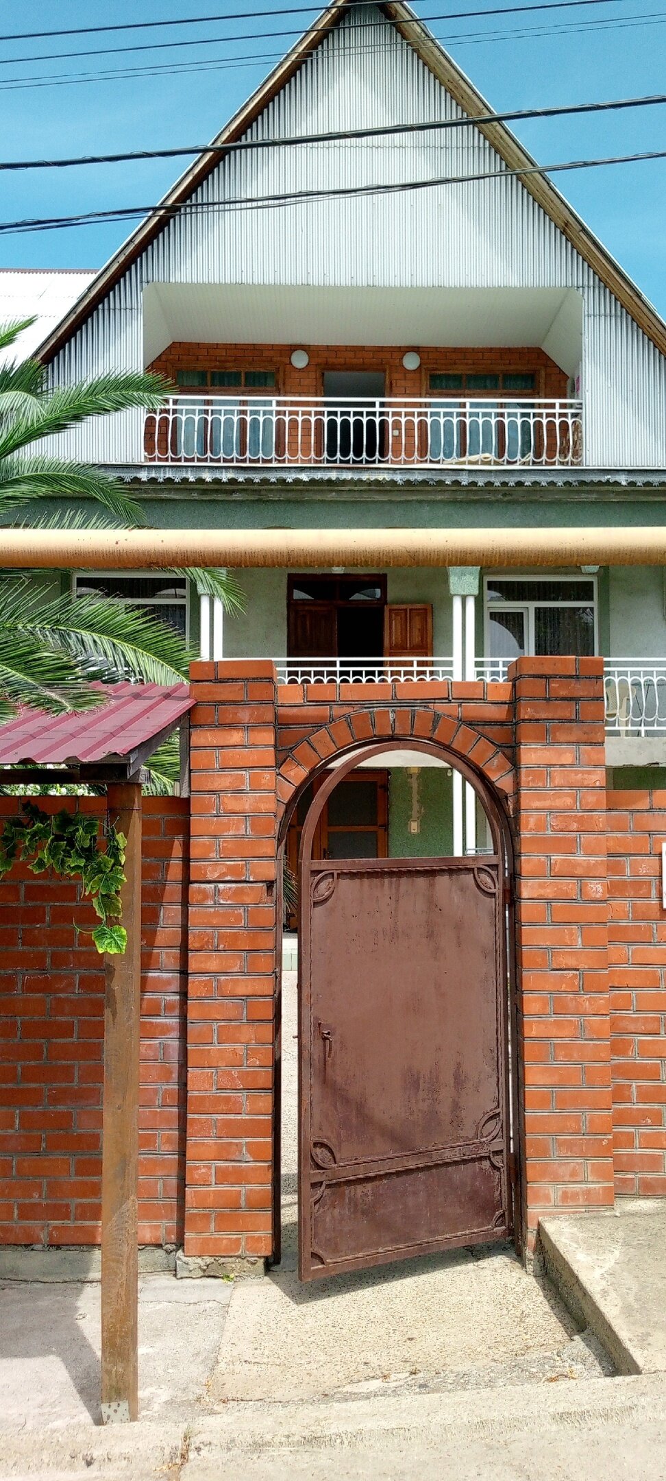 Фото Селена