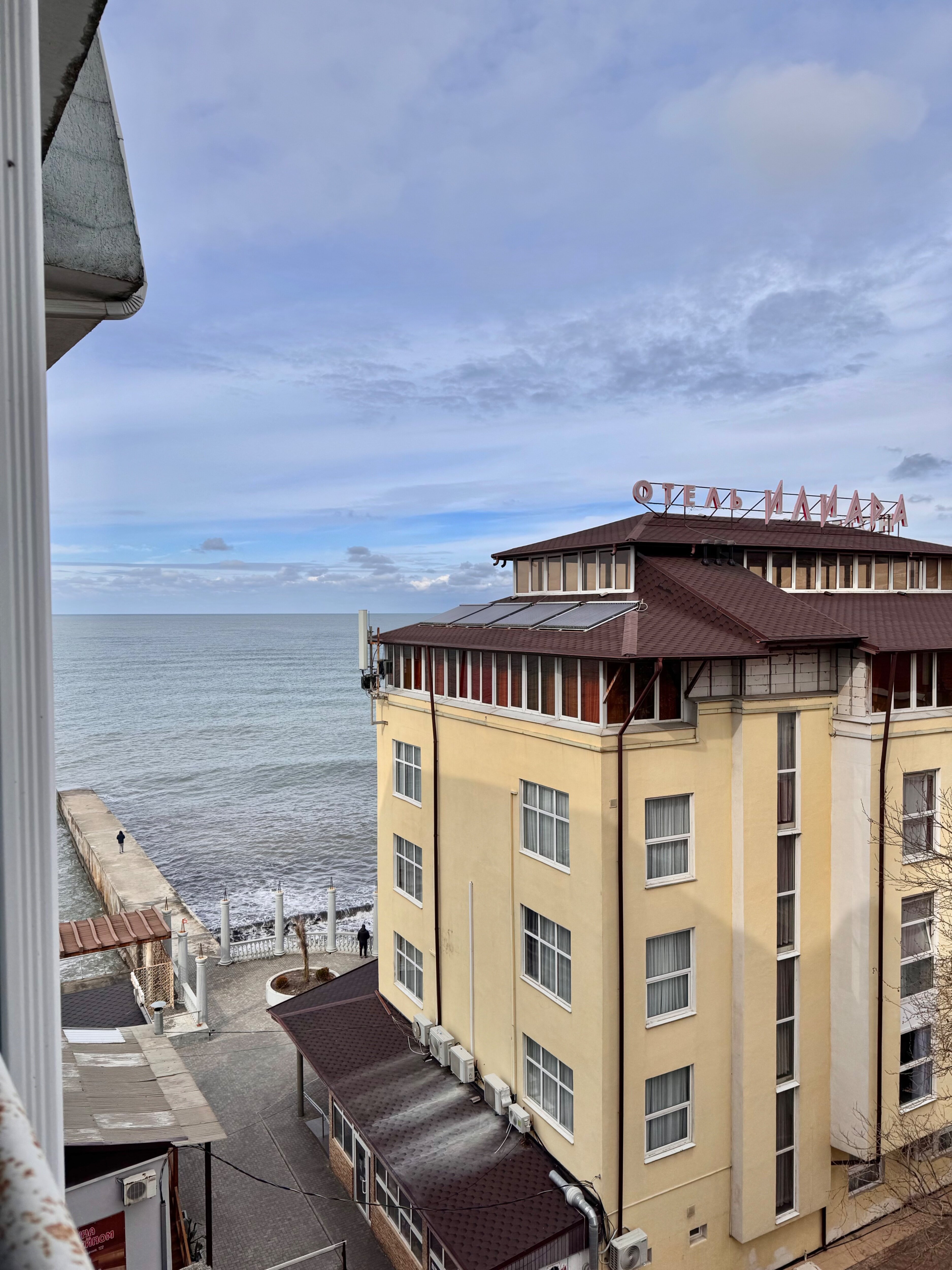 Фото Дельфин