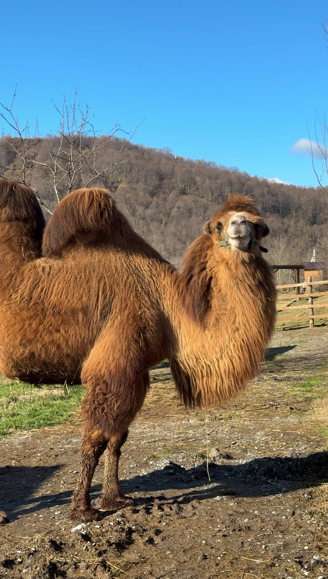 Фото Эко ферма Гуляй Поле