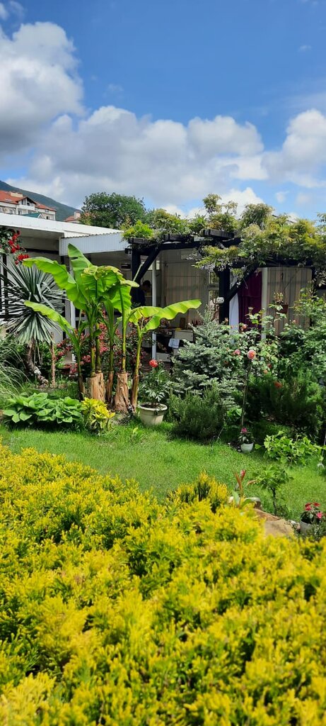 Guest house Gostevoy dom Irina, Gelendgik, photo