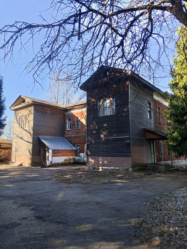 Hospital Ногинская центральная районная больница, Авдотьинская участковая больница, Moscow and Moscow Oblast, photo