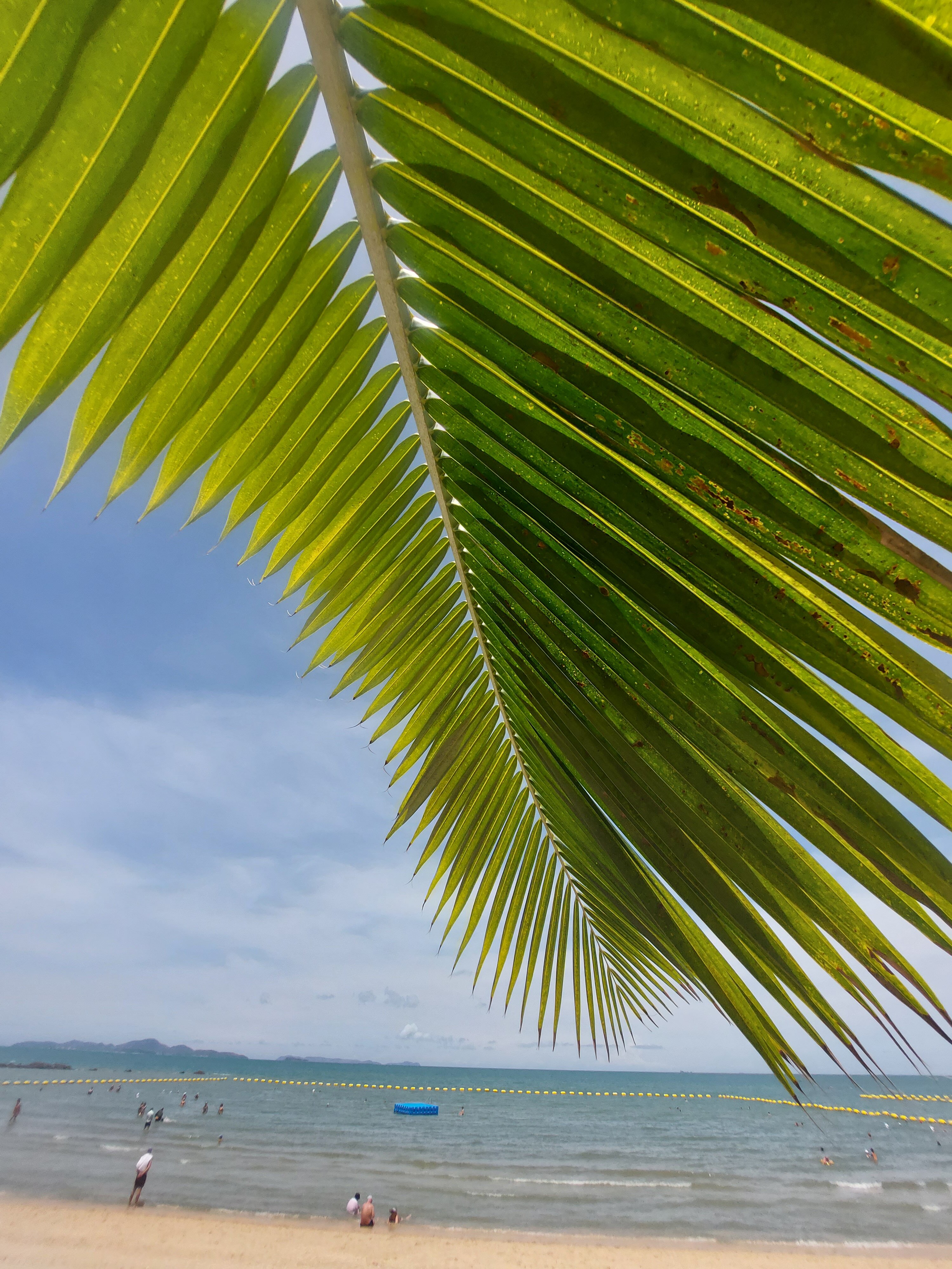 Фото Pattaya Garden Resort