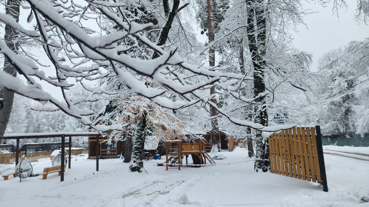 Фото Горная юрта