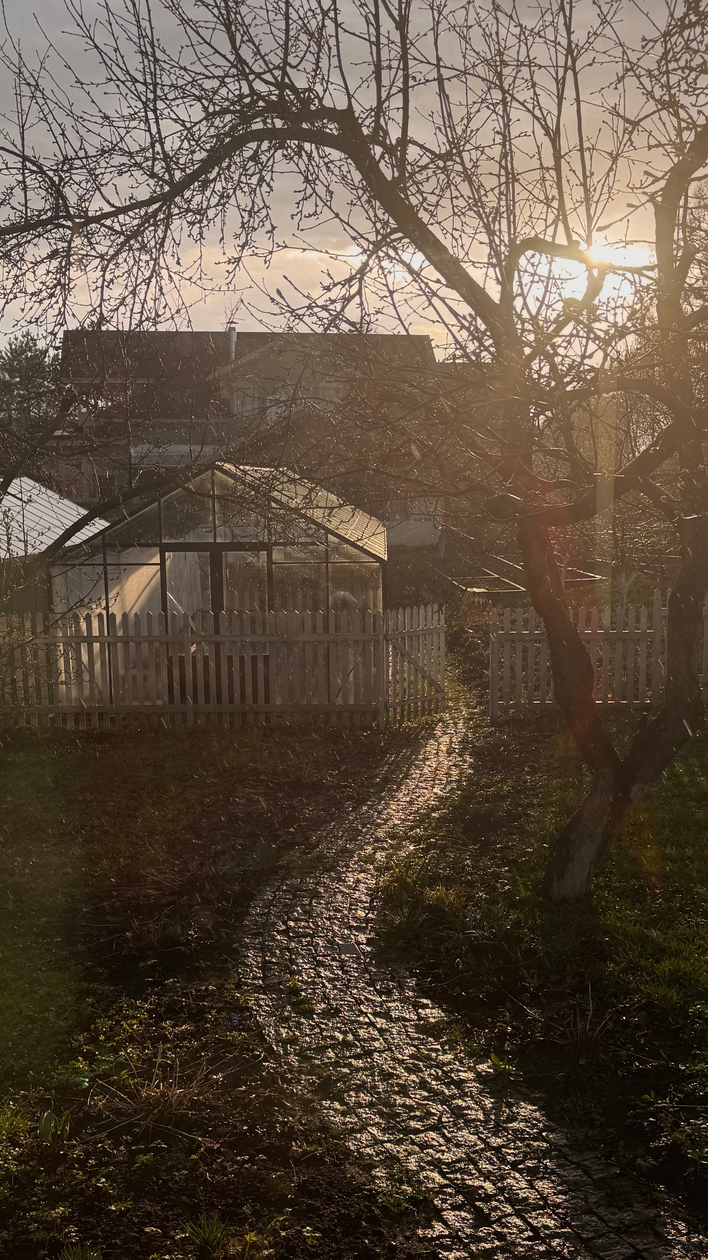 Фото Дымов Дача - Синий Дом