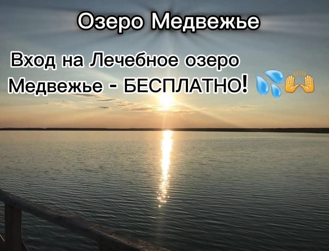 Фото Малинка