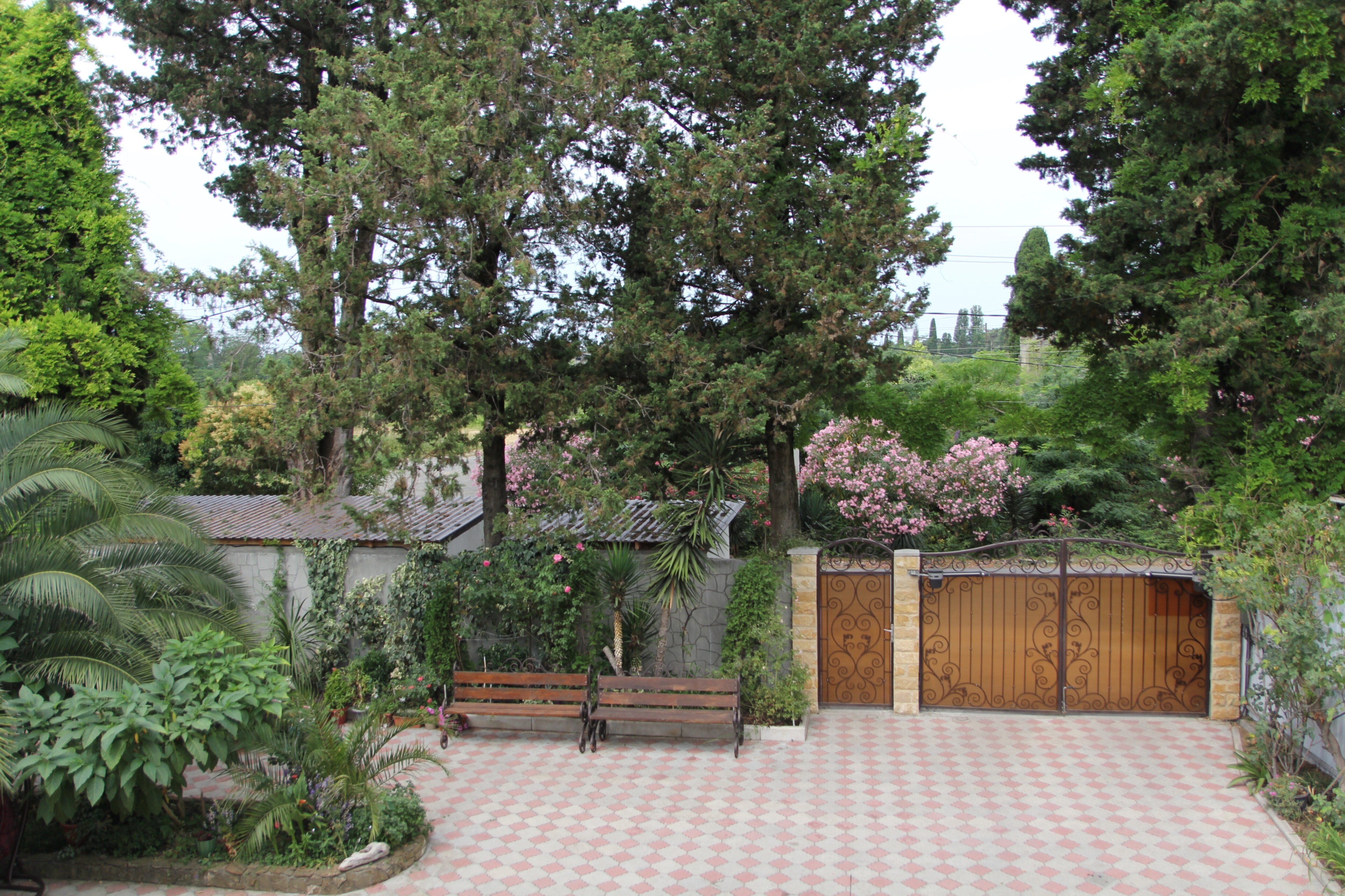 Фото Mechta House