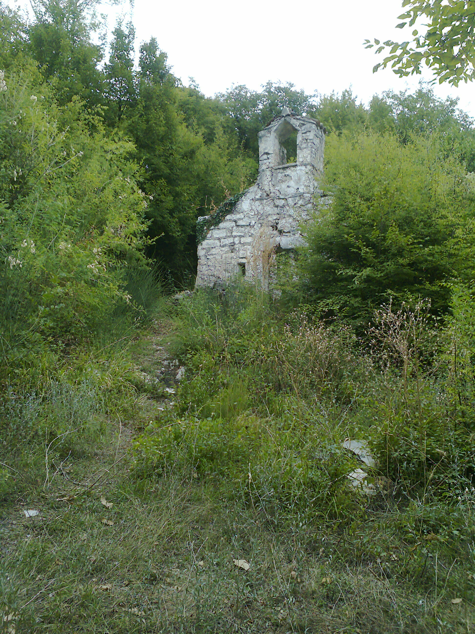 Фото D&D Apartments Tivat