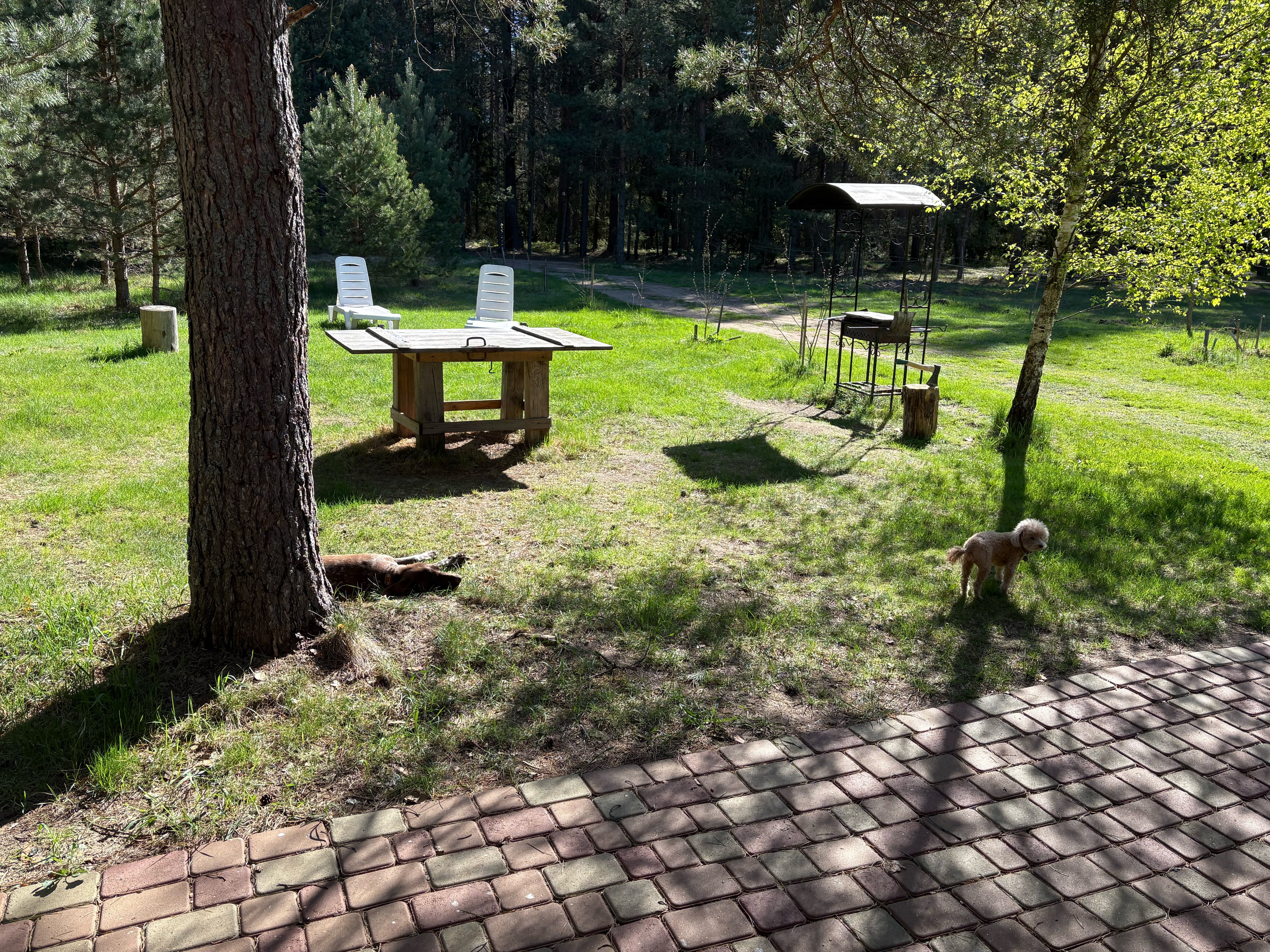 Фото Хутор Малиновка