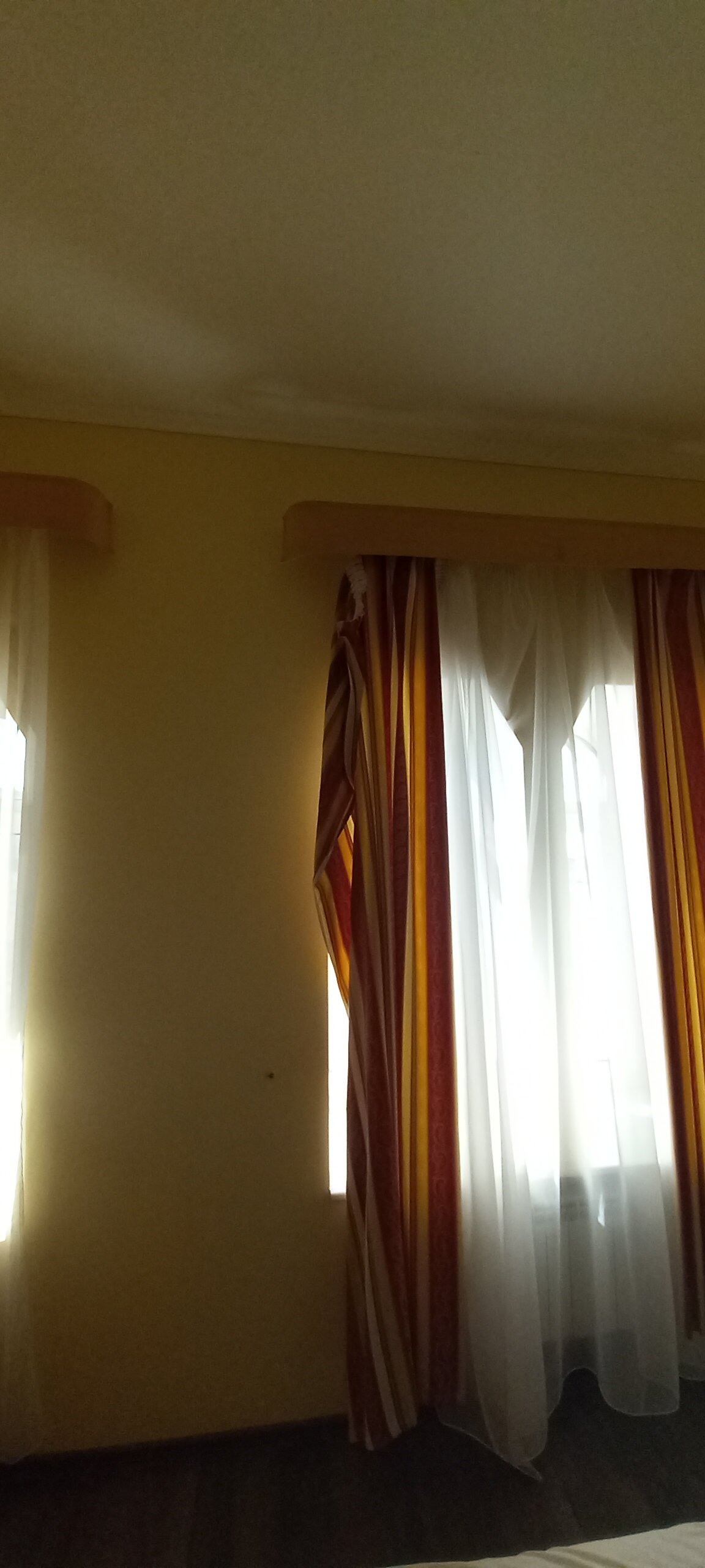 Фото Элегия