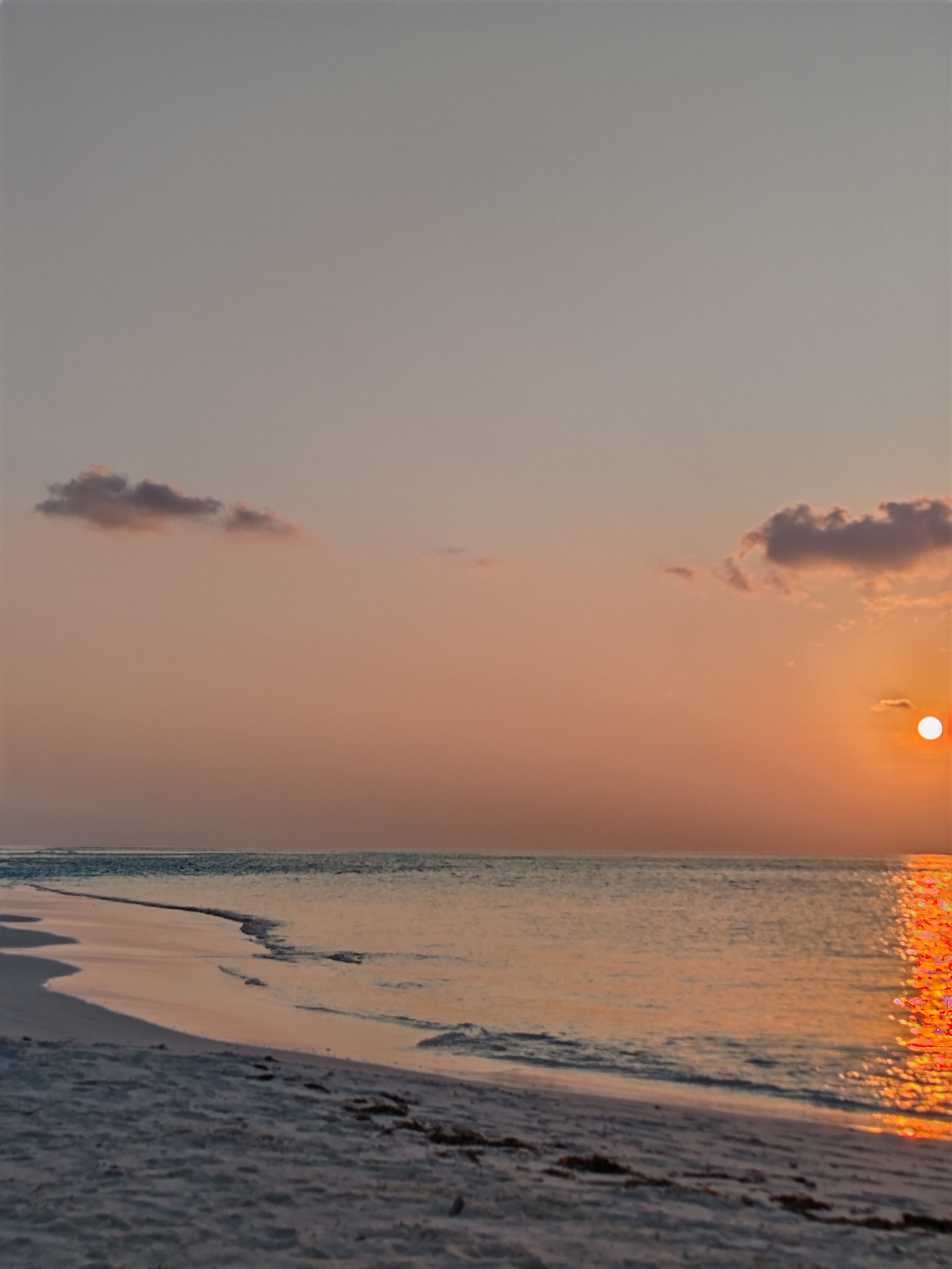 Фото Kuredu Resort and SPA