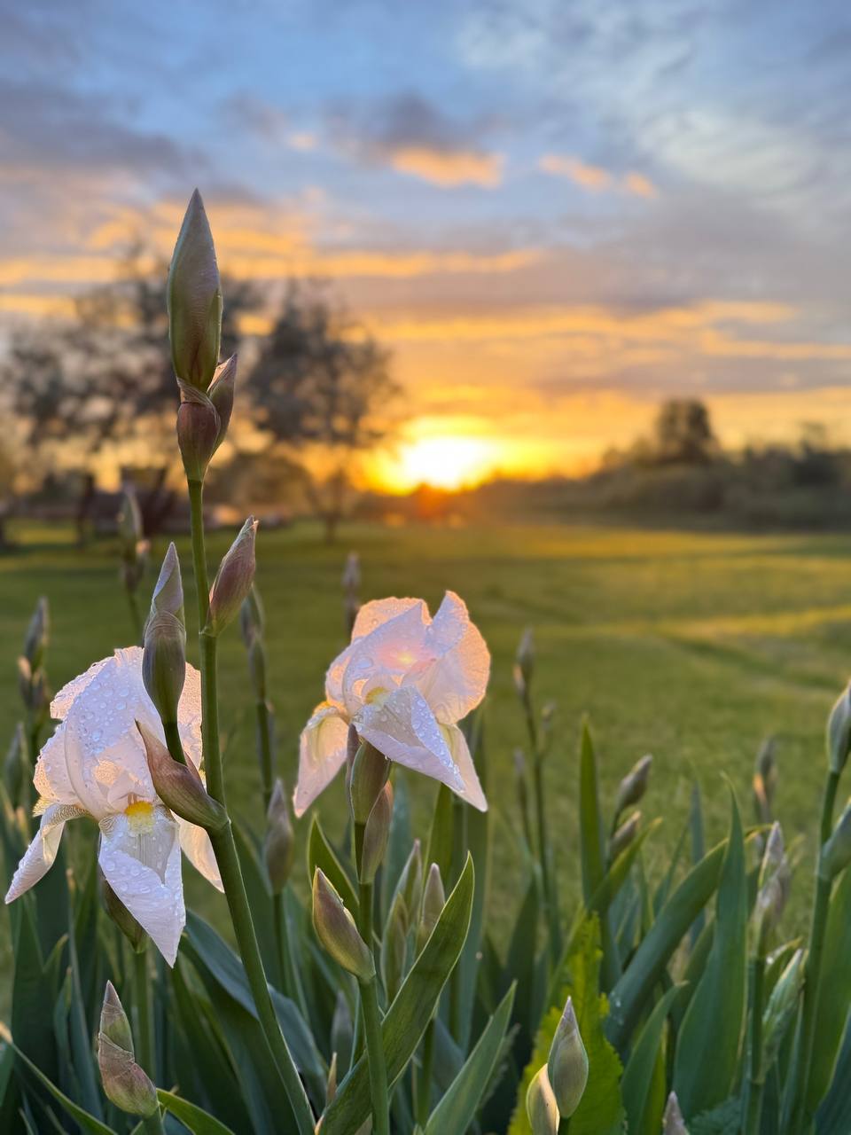 Фото Берлога