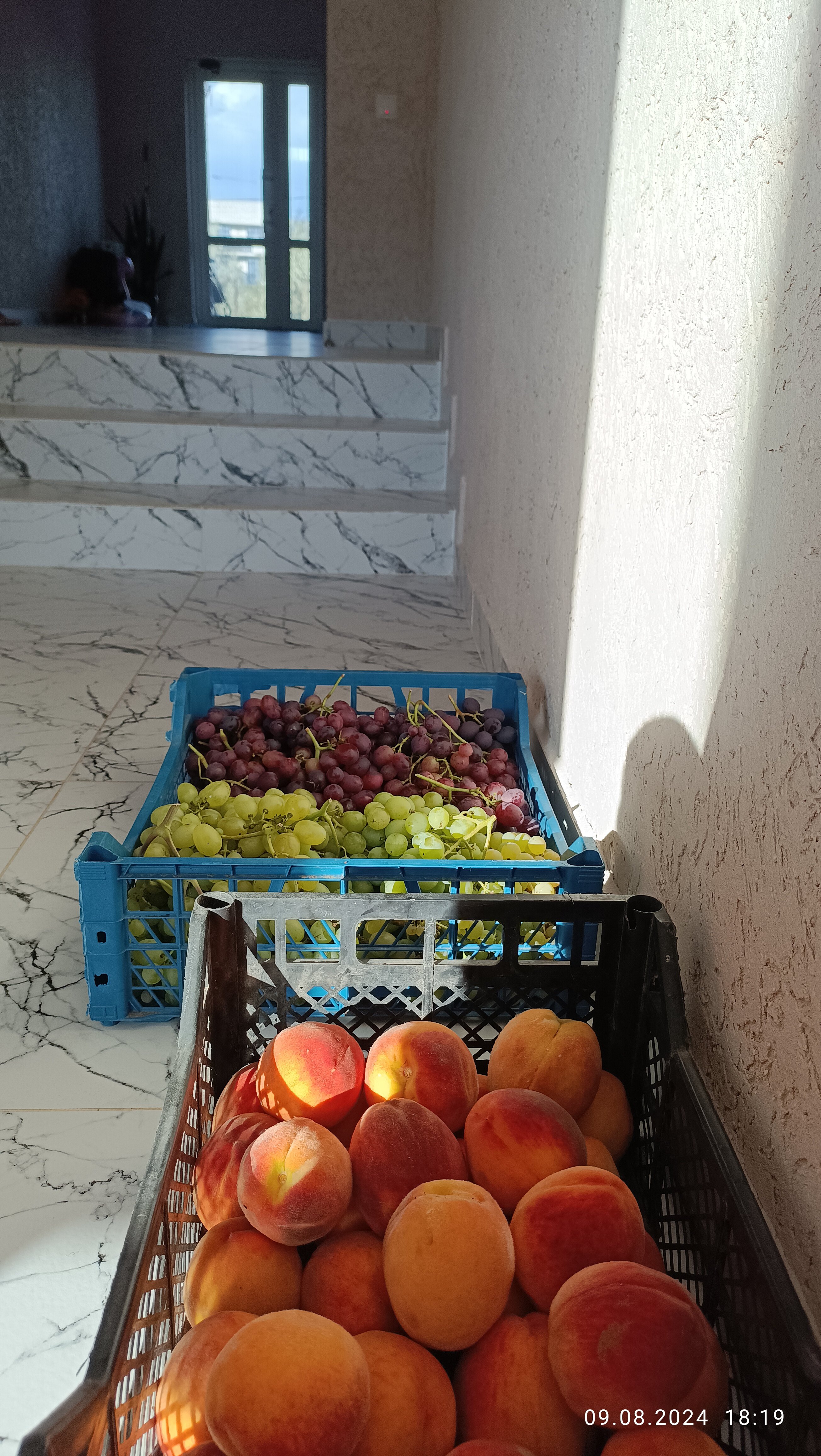 Фото Селена