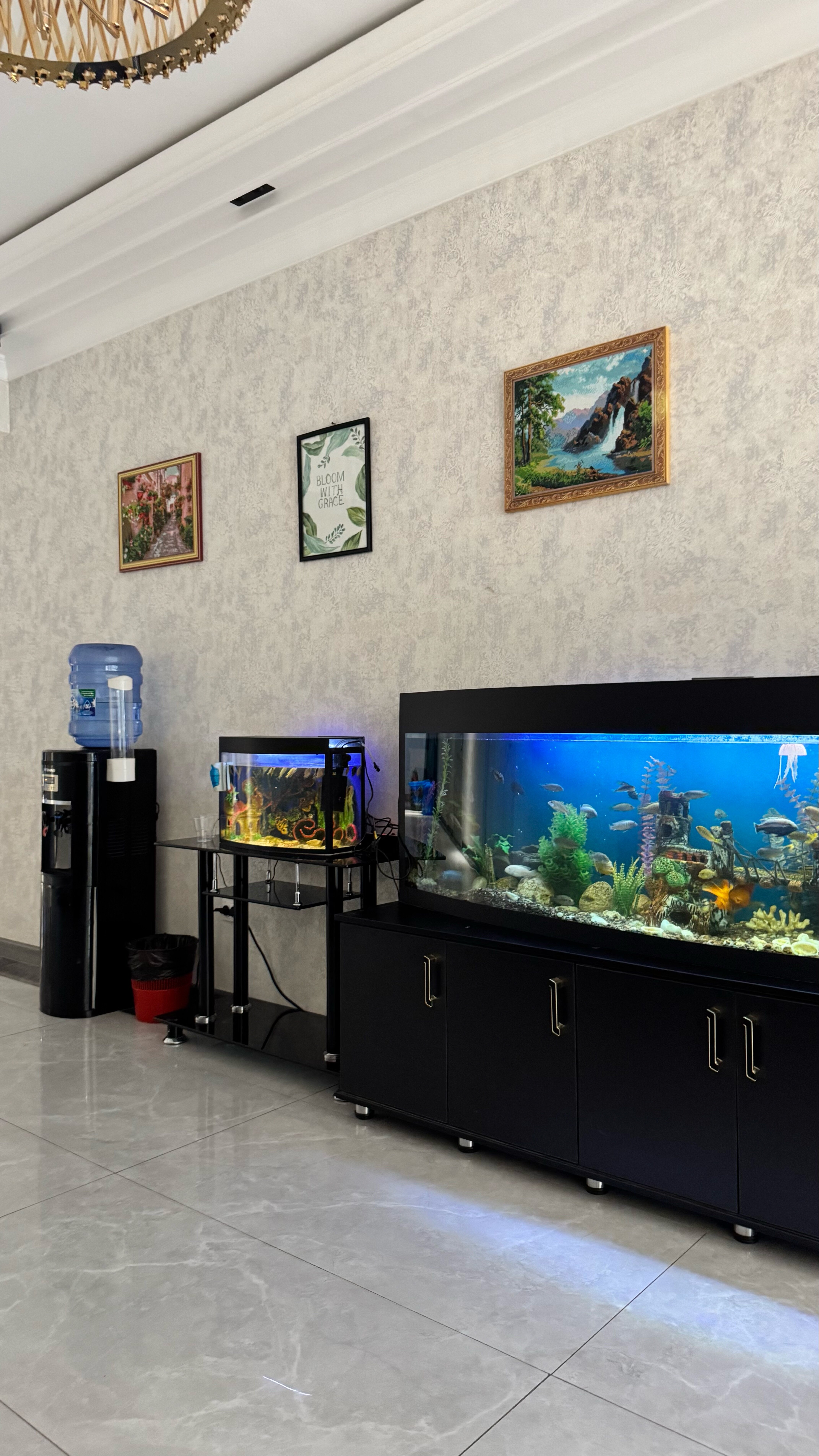 Фото Dsf Garden Hotel