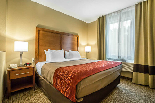 Гостиница Comfort Inn & Suites Near Mt. Rushmore