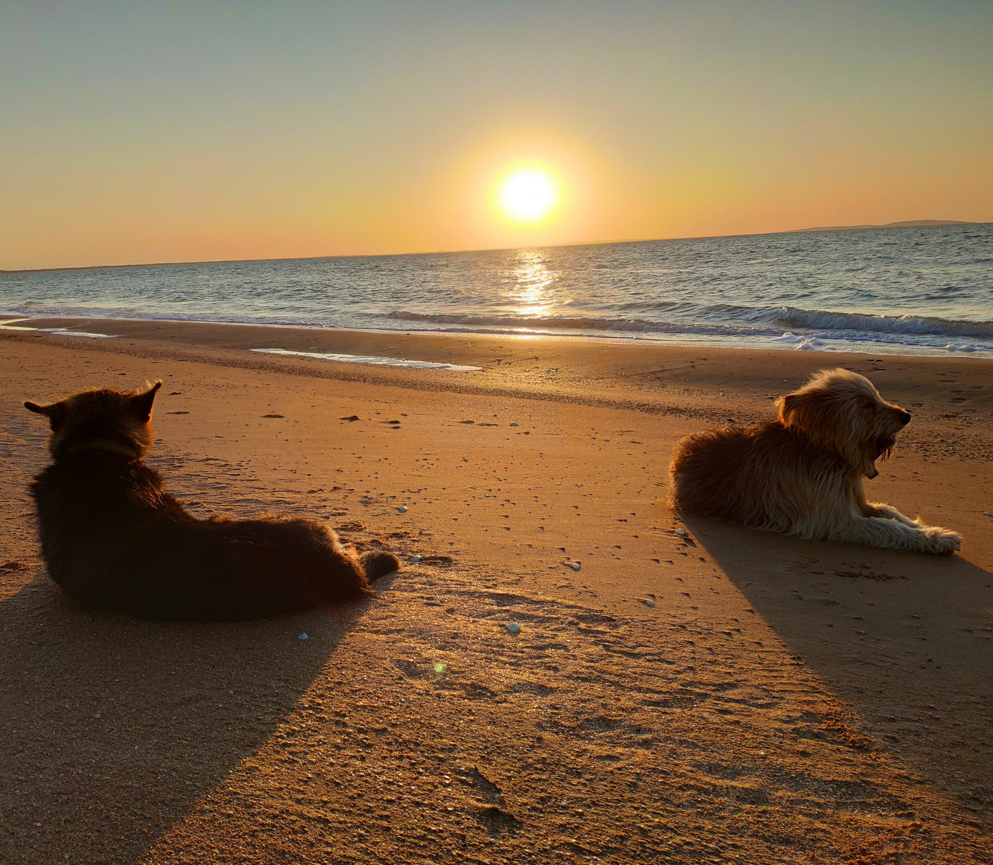 Фото Усадьба Отрада