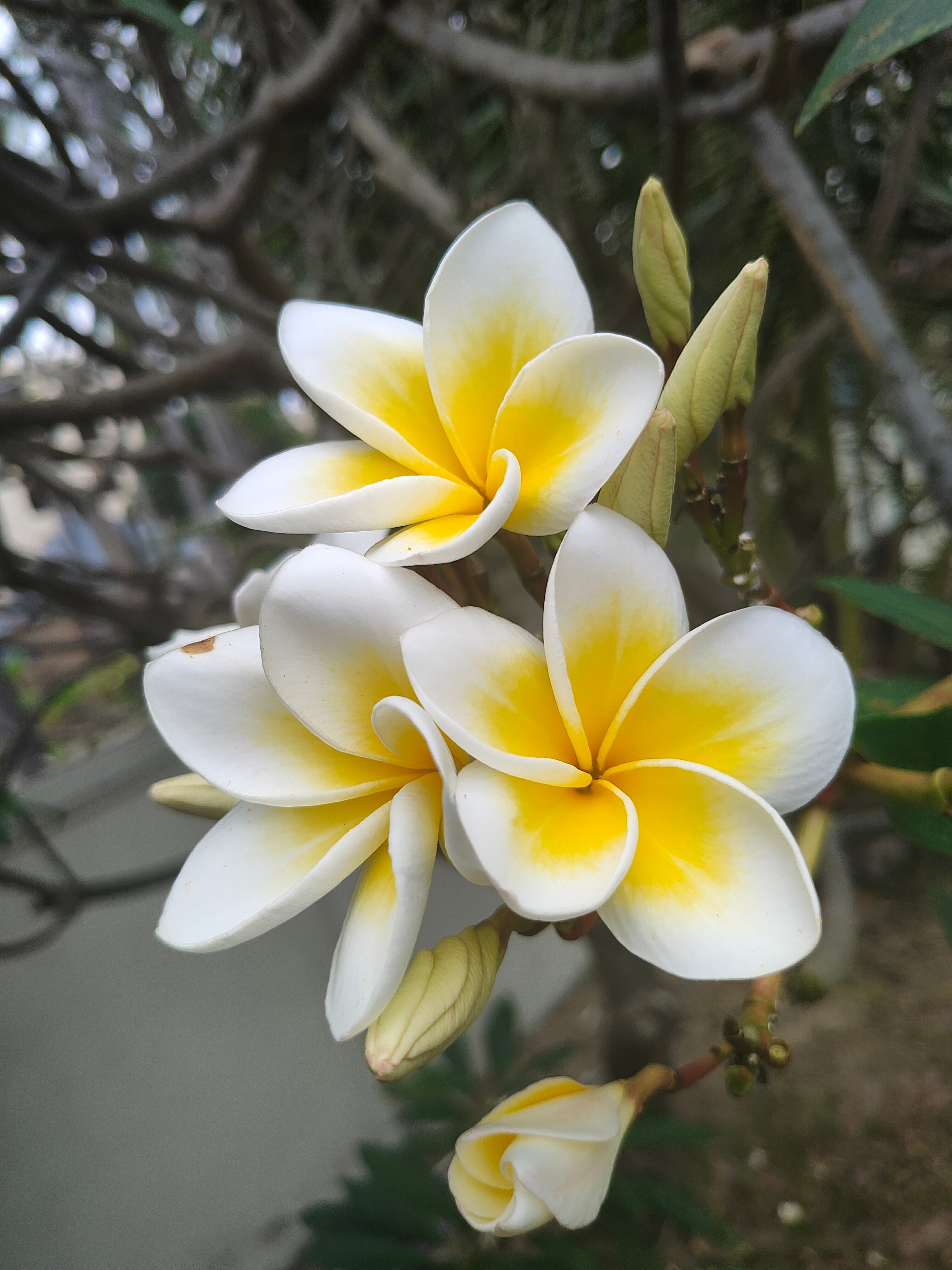 Фото Mường Thanh Holiday Mui Ne