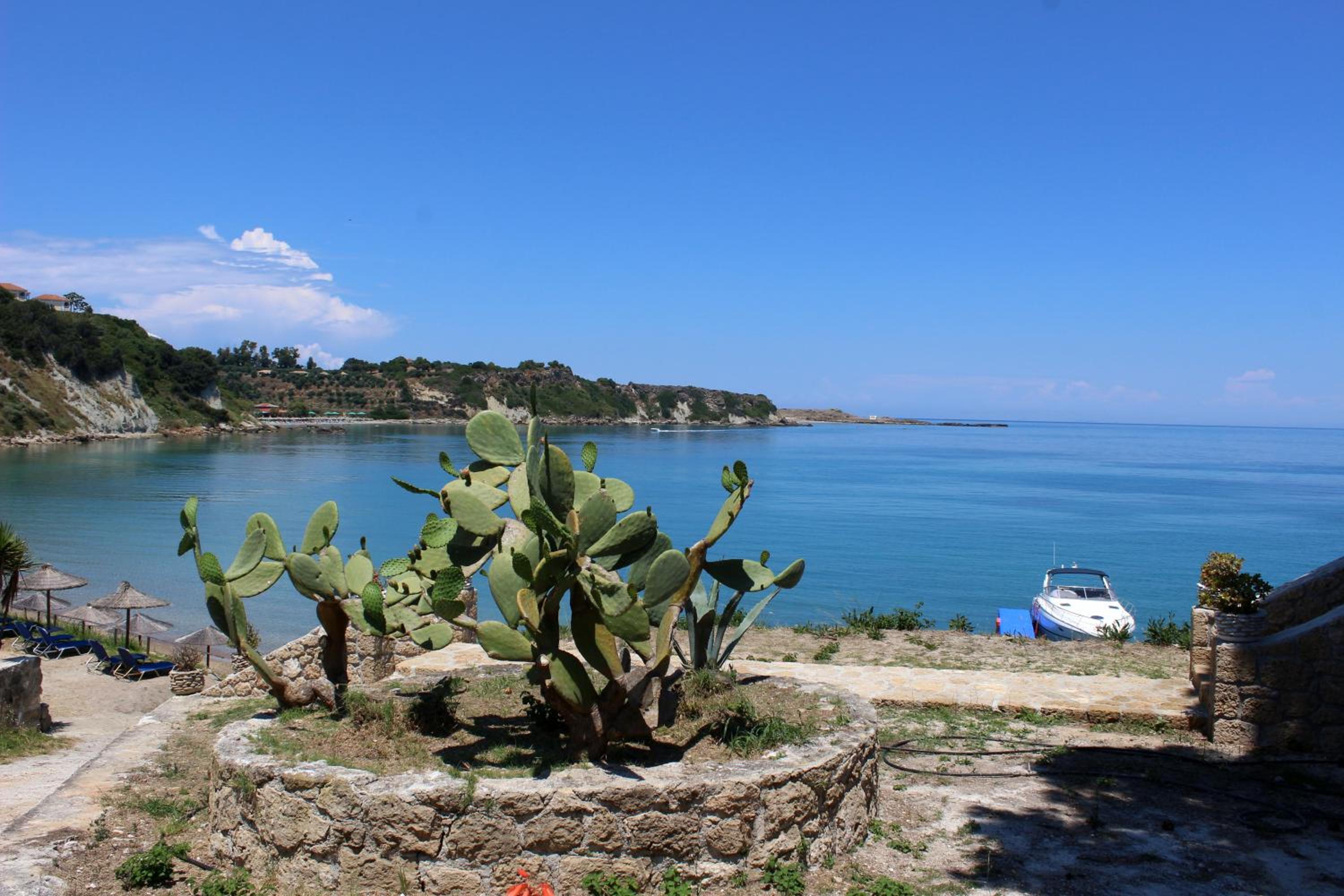 Фото Zante Yliessa