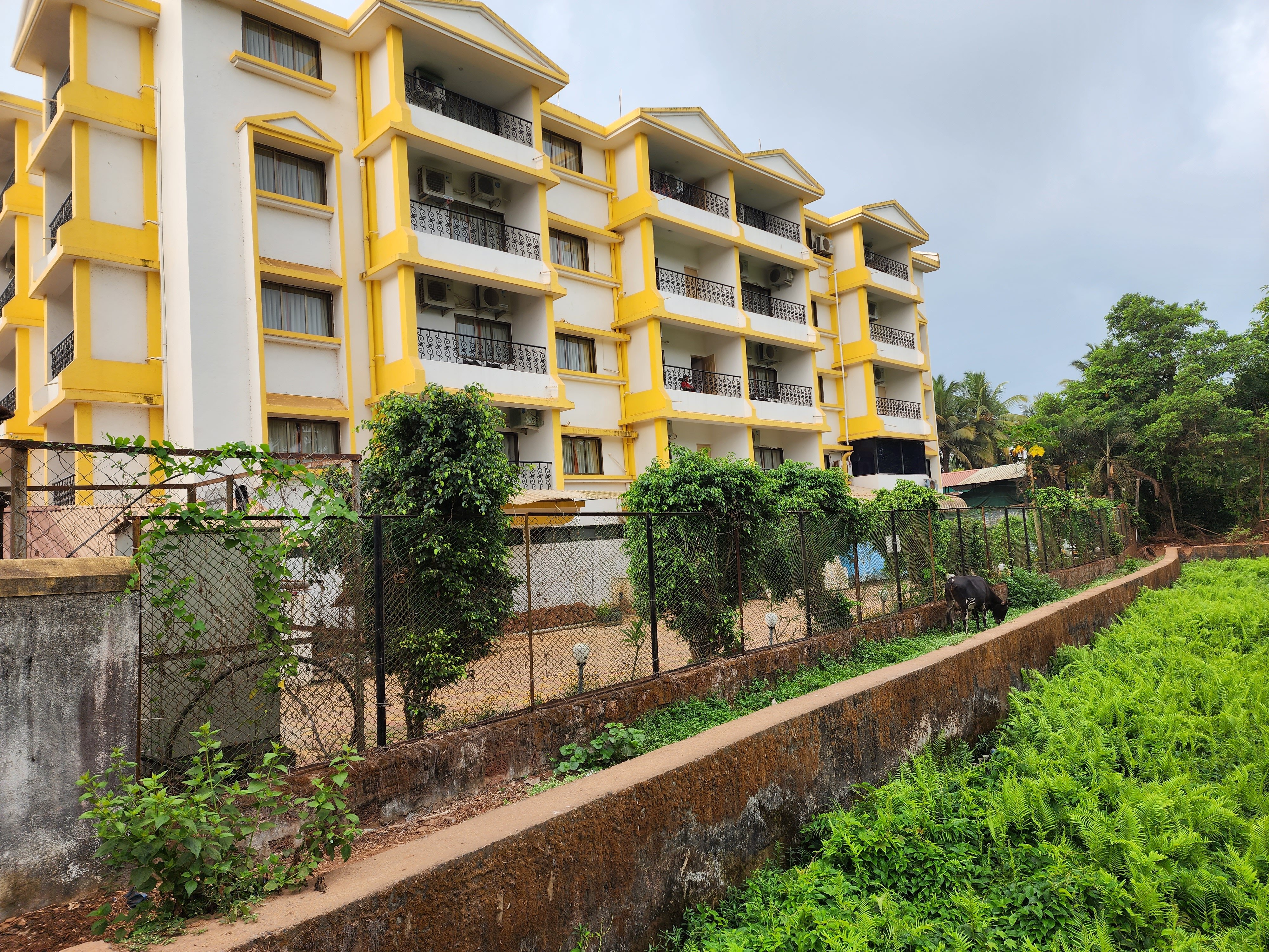 Фото Hotel Colva Kinara