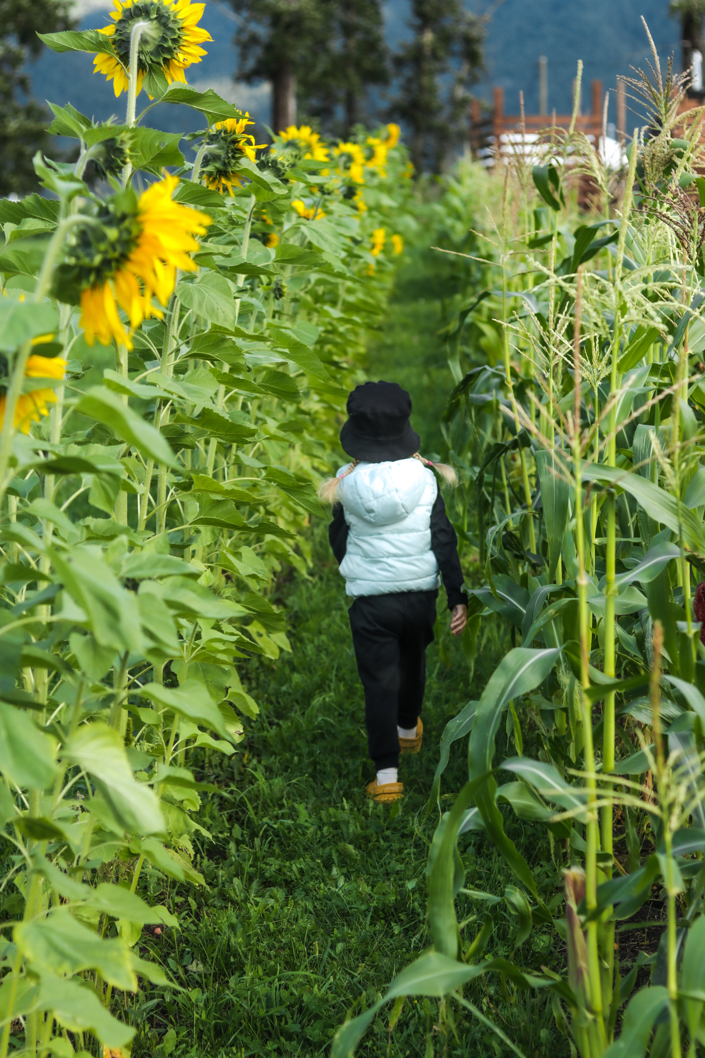 Фото Эко Ранчо