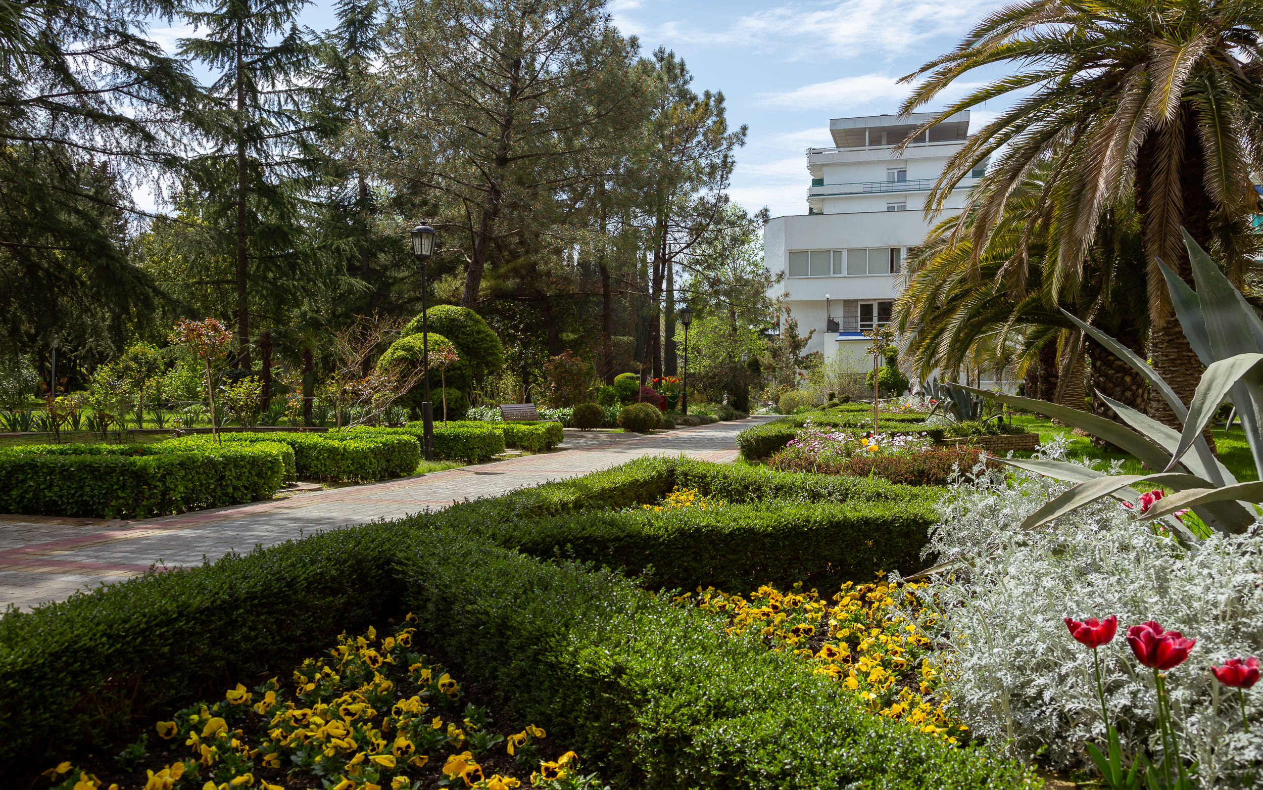 Фото Знание