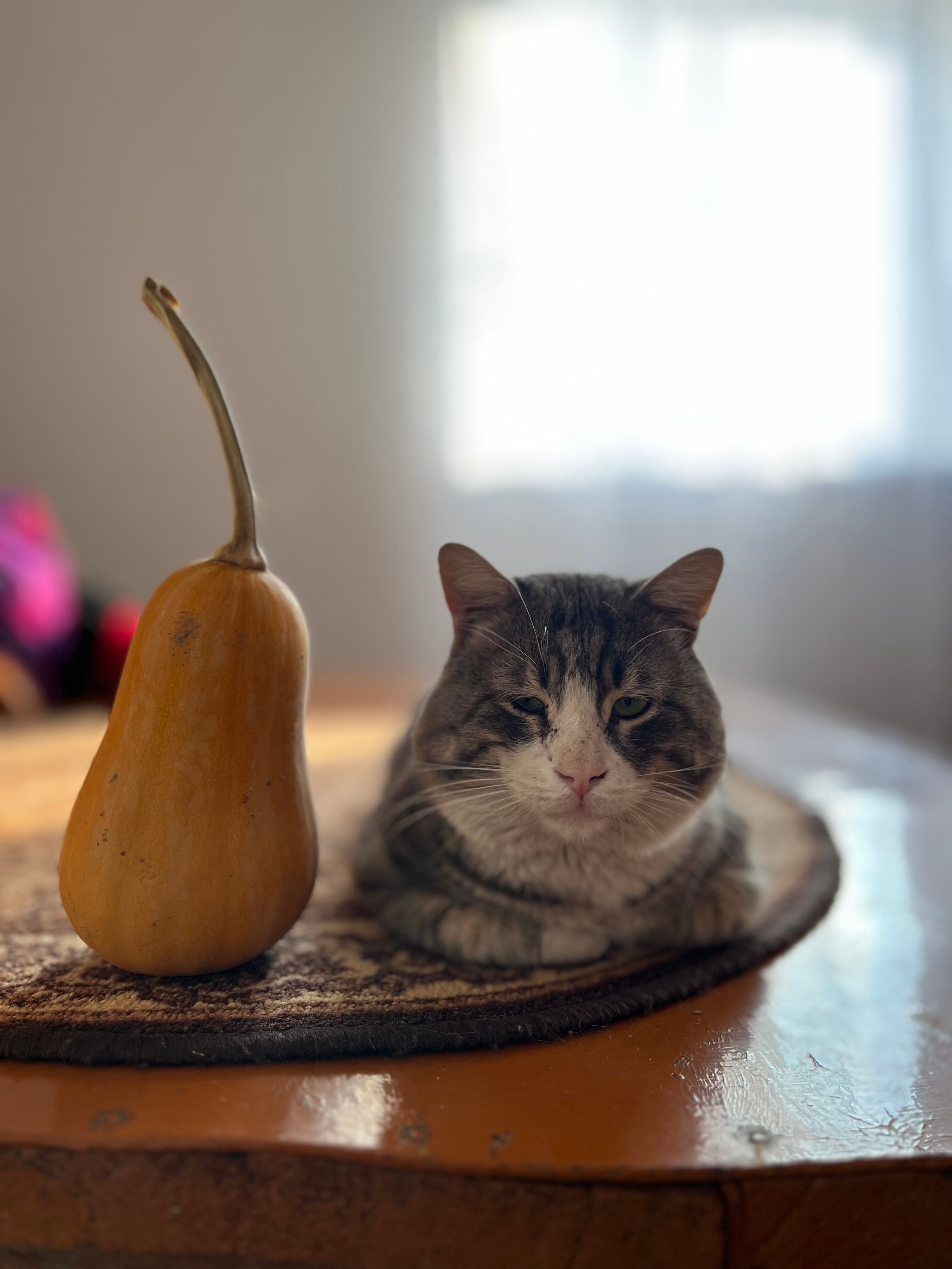 Фото Ла Дербент