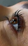 Brows & Lami Styly (Suharawskaja Street, 16) ، شريط حاجب العين